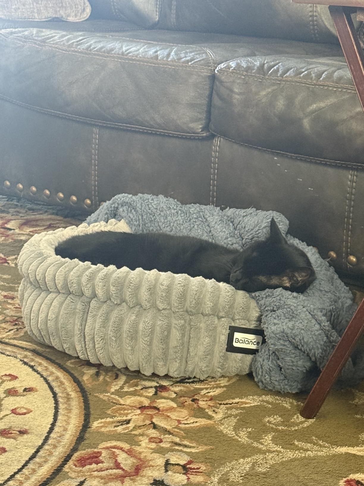 BALANCE Cat Bed Kitten Bed, Washable Round Cat Beds for Indoor Cats, Super Soft Plush Faux Fur Pet Bed for Puppy and Kitten with Anti-Slip Bottom Customer Review BALANCE Cat Bed Kitten Bed, Washable Round Cat Beds for Indoor Cats, Super Soft Plush Faux Fur Pet Bed for Puppy and Kitten with Anti-Slip Bottom - Customer Photo 1