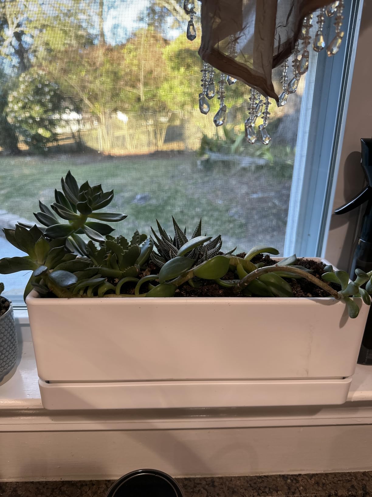 D'vine Dev 12 Inch Window Box Planter, Rectangle Plastic Herb Planter with Drainage Holes and Saucer, Indoor Succulent Cactus Vegetable Pot for Windowsill, Garden Balcony, White, Set of 2 Customer Review D'vine Dev 12 Inch Window Box Planter, Rectangle Plastic Herb Planter with Drainage Holes and Saucer, Indoor Succulent Cactus Vegetable Pot for Windowsill, Garden Balcony, White, Set of 2 - Customer Photo 1