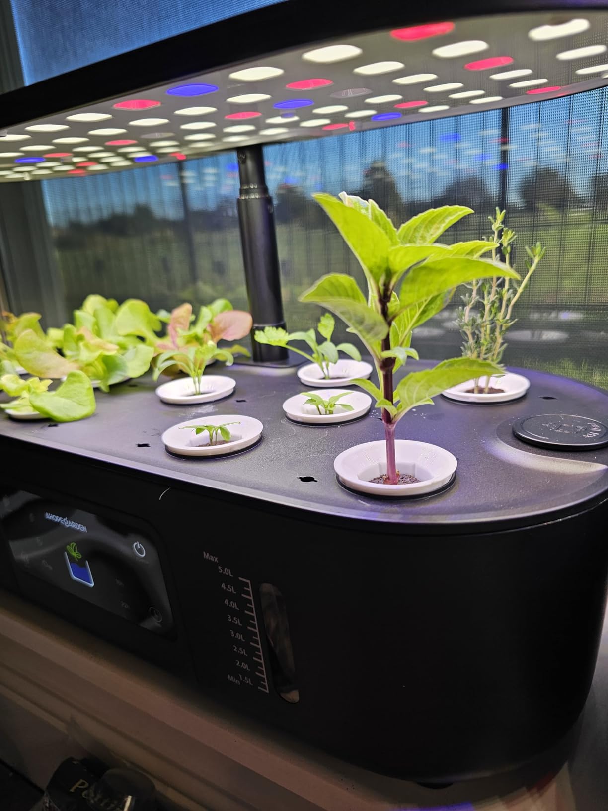 Ahopegarden Hydroponics Growing System Kit Indoor Herb Garden with Grow Light 12 Pods, with LCD Touch Panel Hydroponic Planter, Planting Height Up to 17