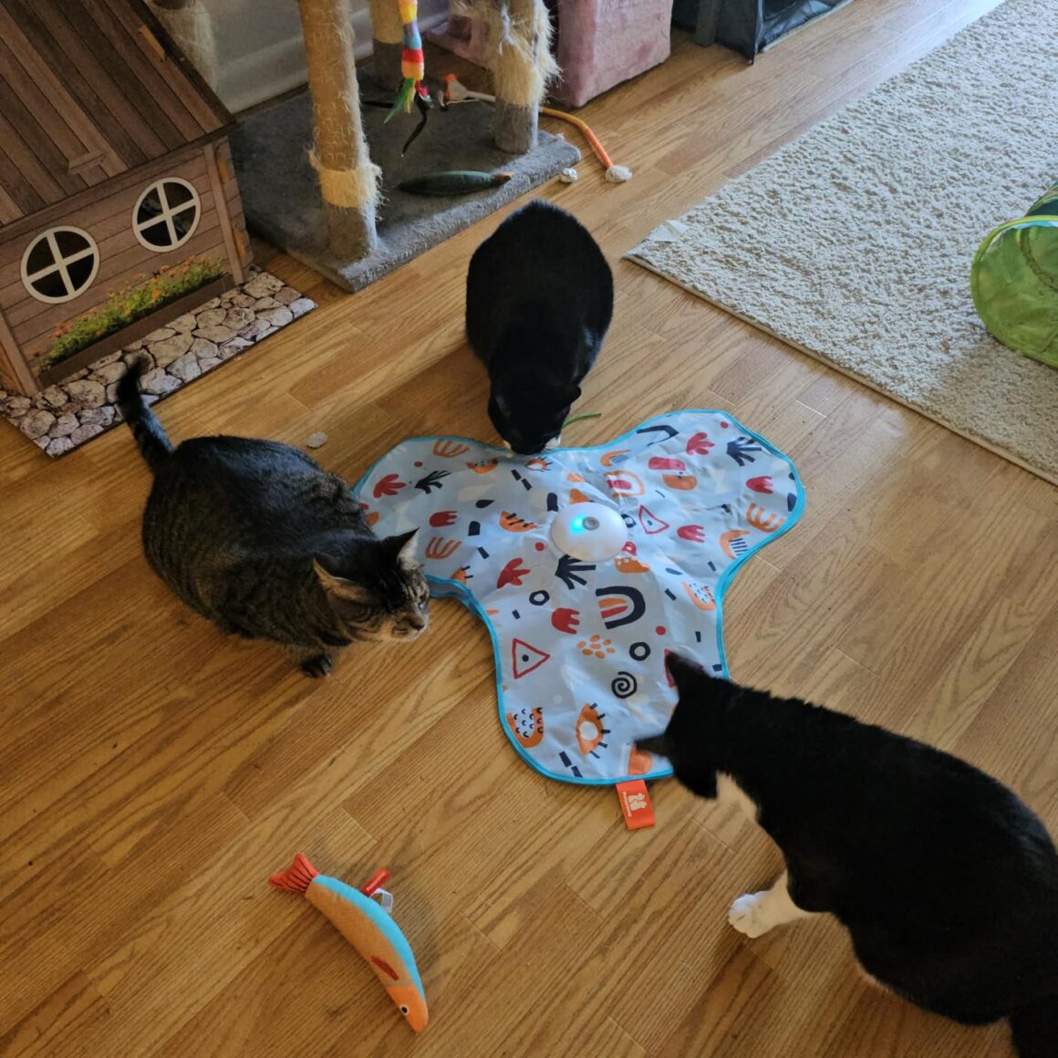 Potaroma Hide and Seek Interactive Cat Toys, Moving Concealed Wand Feather, Automatic Chargeable Indoor Kitten Exercise Kicker, Mouse Squeaky, Floral Cover - Customer Photo 1
