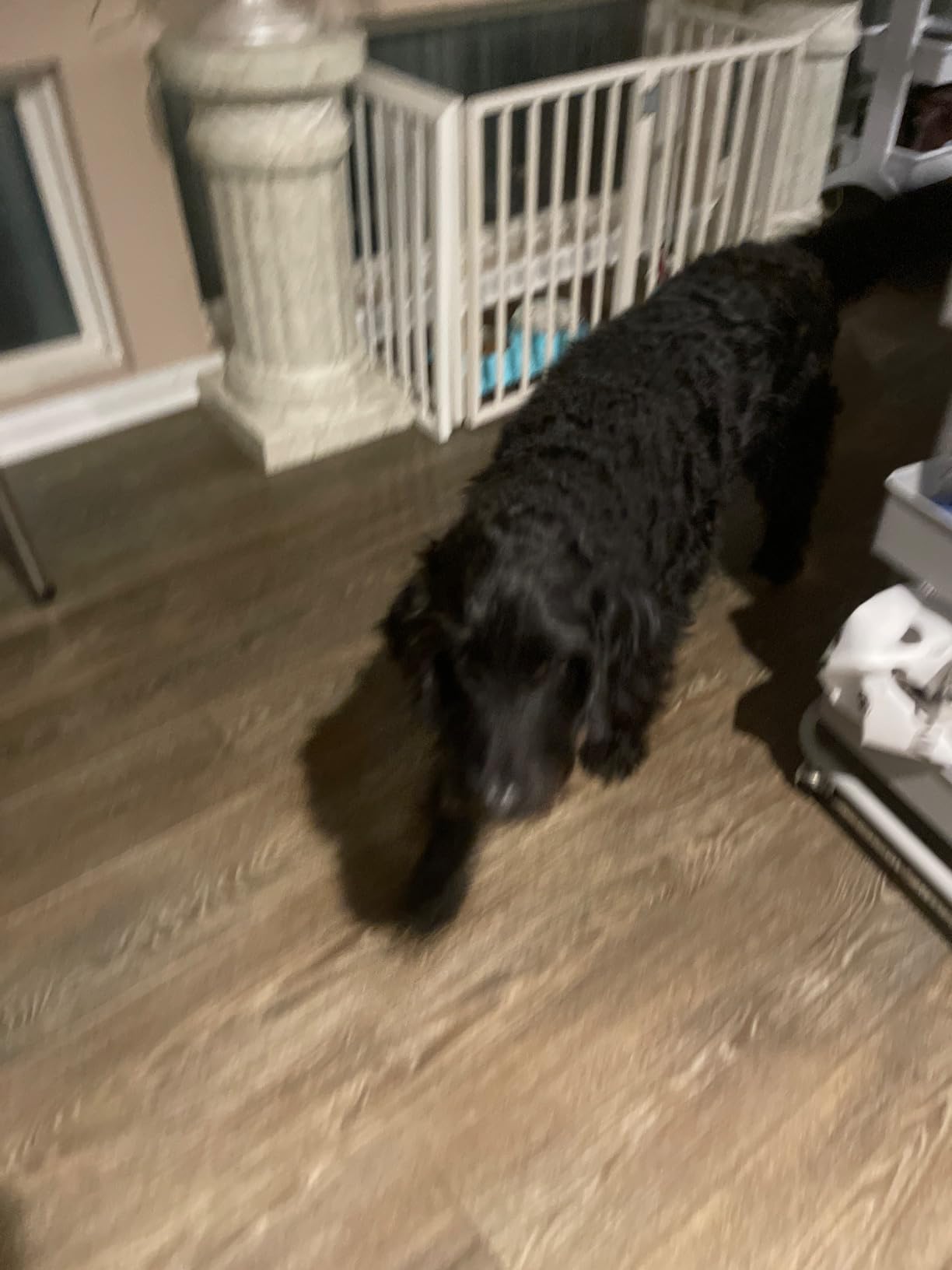 Pet-Friendly Ice Melt - Fast Acting Magnesium Chloride Formula, Safer for Pets & Surfaces, 15lb Bucket Customer Review Pet-Friendly Ice Melt - Fast Acting Magnesium Chloride Formula, Safer for Pets & Surfaces, 15lb Bucket - Customer Photo 1