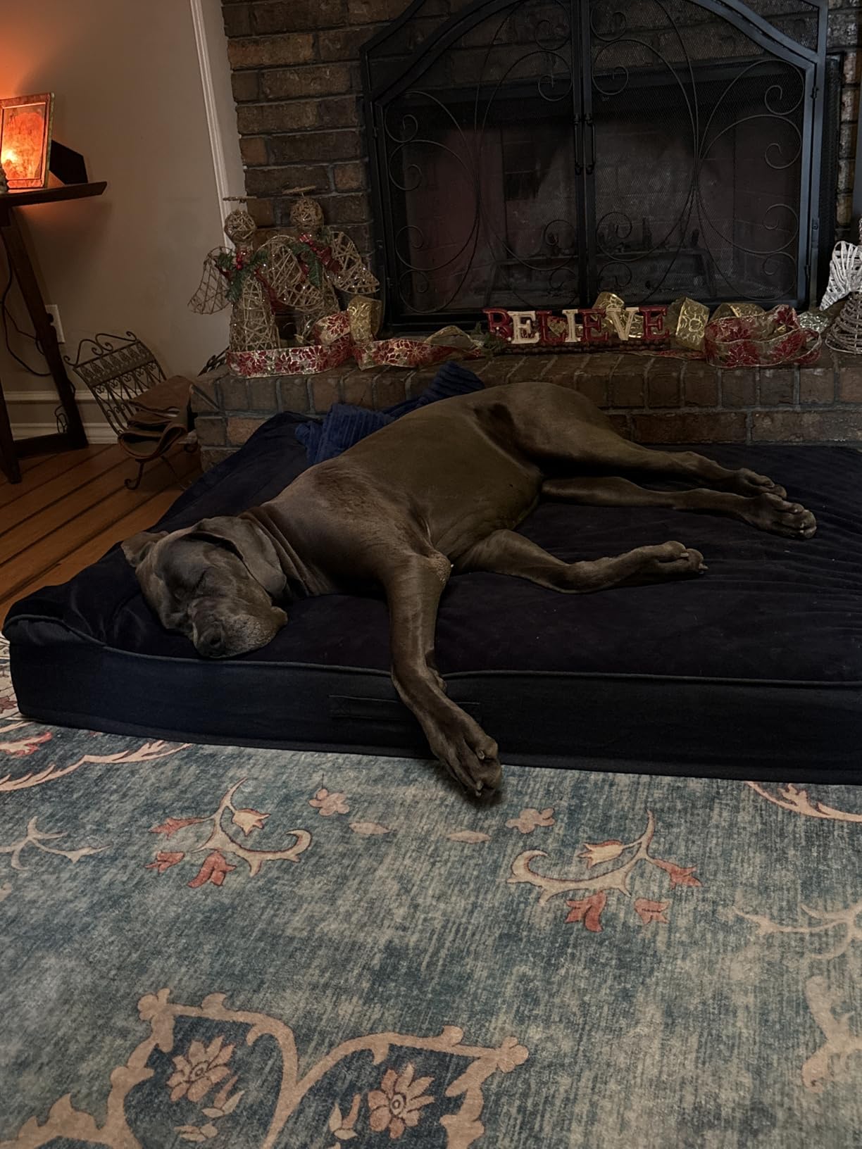 NOAH & PAW Small Dog Bed, 20x15x6.5 Inch, Cat Bed for Indoor Cats, Orthopedic Eggshell Memory Foam Infused with Cooling Gel, Waterproof, Machine Washable, Includes Inner Cover (Denim Collection) Customer Review NOAH & PAW Small Dog Bed, 20x15x6.5 Inch, Cat Bed for Indoor Cats, Orthopedic Eggshell Memory Foam Infused with Cooling Gel, Waterproof, Machine Washable, Includes Inner Cover (Denim Collection) - Customer Photo 1
