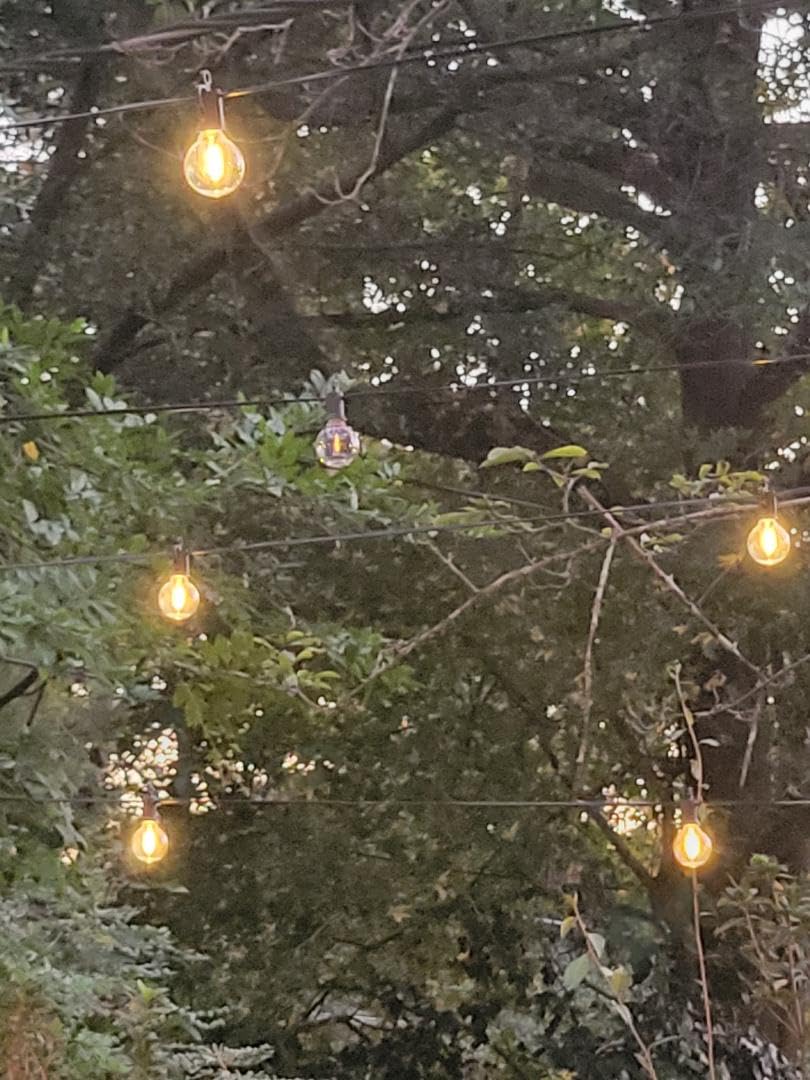 Brightown 108FT 52 LED Solar String Lights Outdoor with Remote & USB Port, Shatterproof Bulbs, Dimmable & Timable, 3 Light Modes, Patio Lights Solar Powered for Camping Backyard Garden Decor - Customer Photo 2
