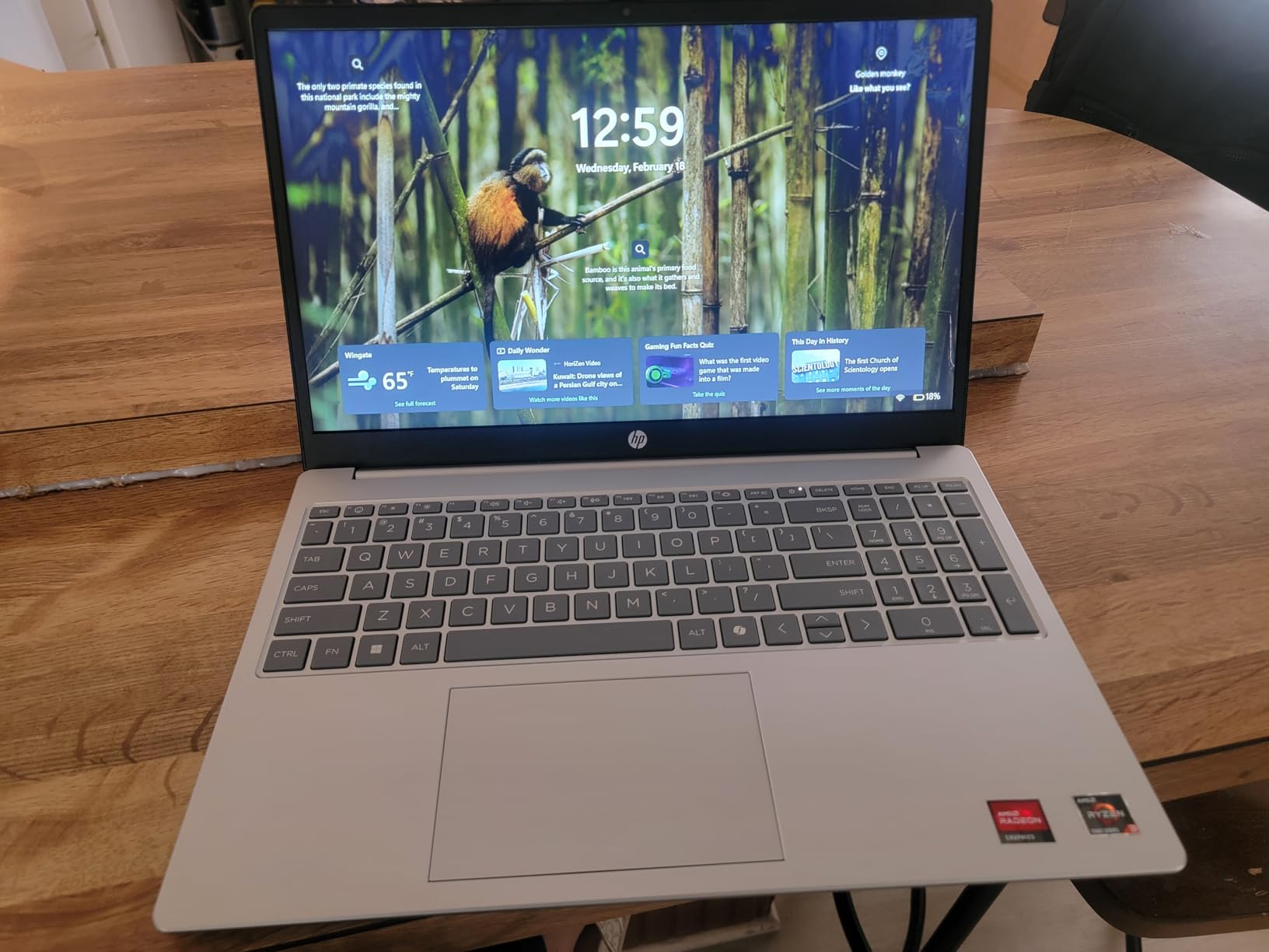HP 15.6 inch Laptop, HD Touchscreen Display, AMD Ryzen 3 7320U, 8 GB RAM, 128 GB SSD, AMD Radeon Graphics, Windows 11 Home in S Mode, Natural Silver customer photo 1