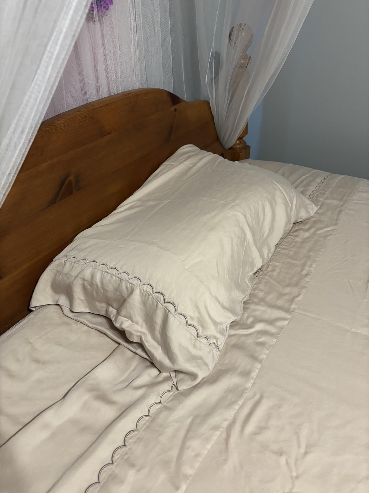 Dreamology Tencel Lyocell Sheets,Queen Size,100% Tencel Lyocell Sheets Set,Eucalyptus Sheet,Soft,Peached,Non Slip & Cooling Sheet for Hot Sleepers,Tencel Sheets,16