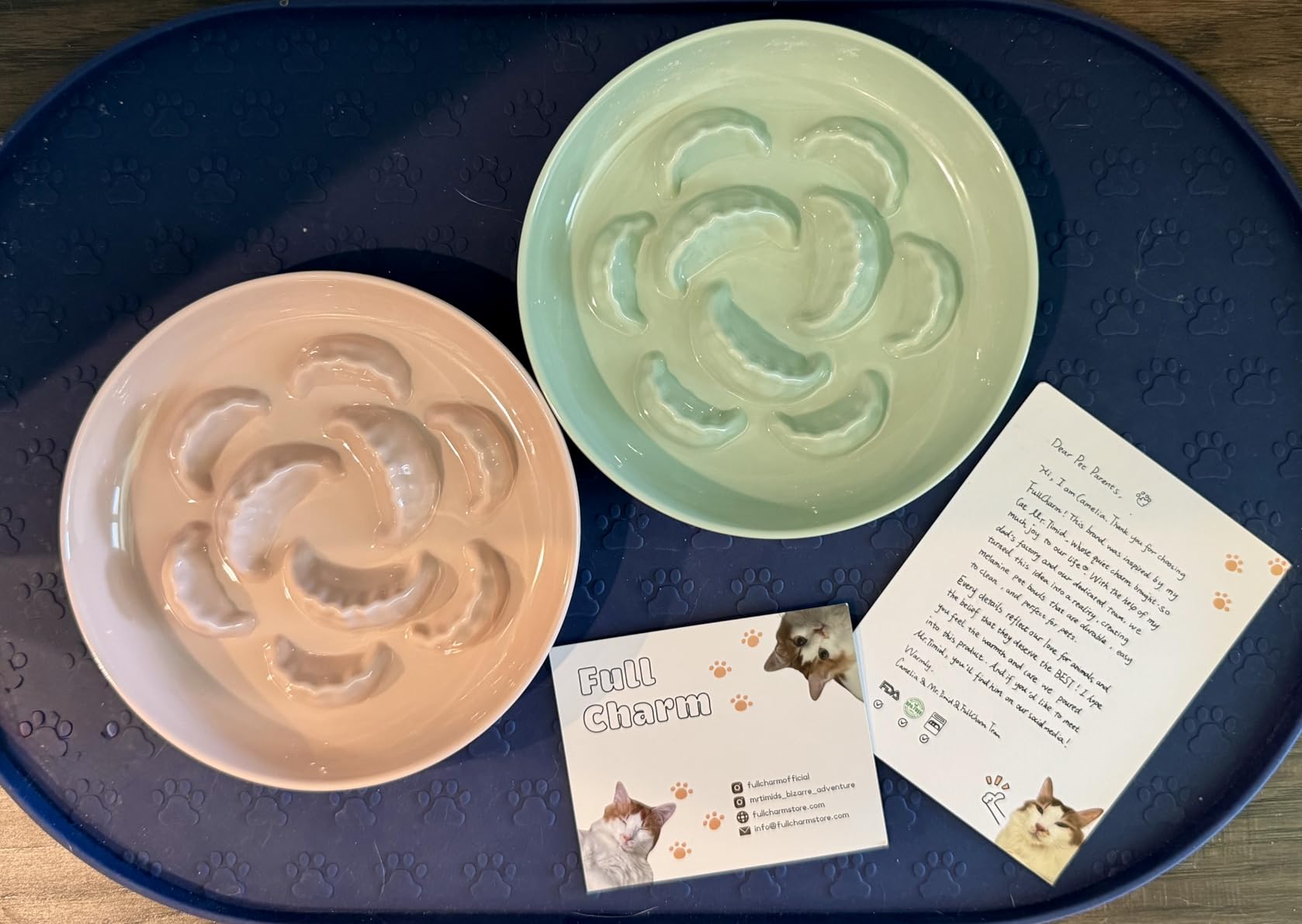 2 Pcs Cat Slow Feeder Bowl Set - Unbreakable Melamine Puzzle cat Bowl for Slow Eating - Cat Dish for Wet & Dry Food- Whisker Friendly & Dishwasher Safe & Non Slip Design - Customer Photo 2
