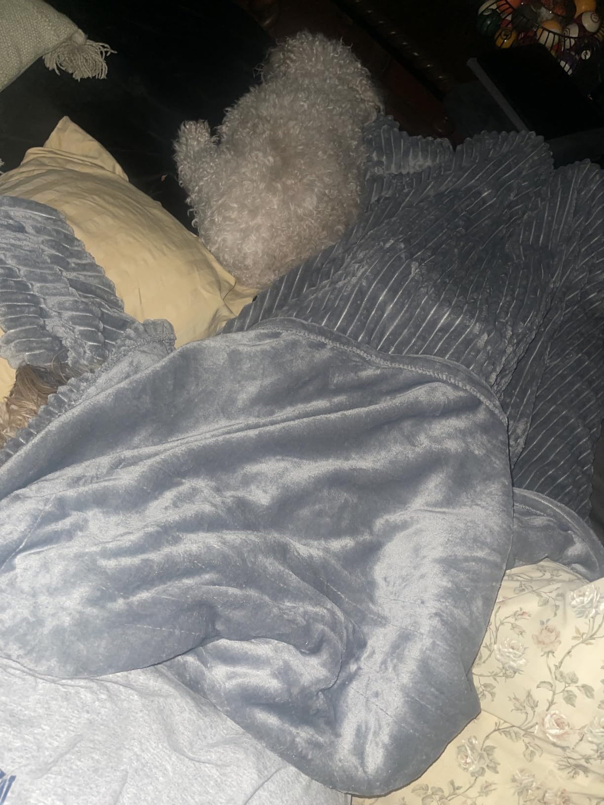 Electric Heated Blanket 72