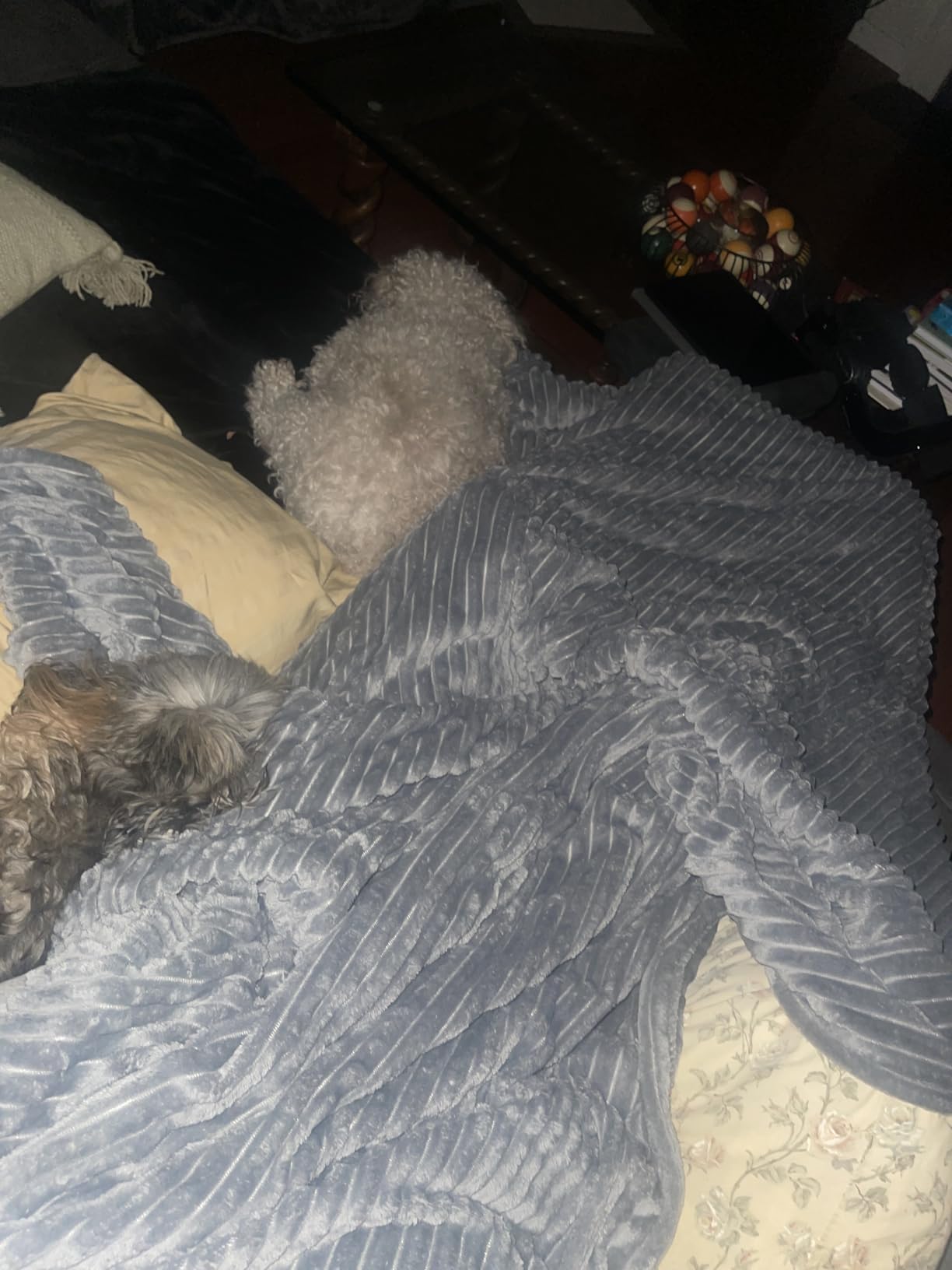 Electric Heated Blanket 72