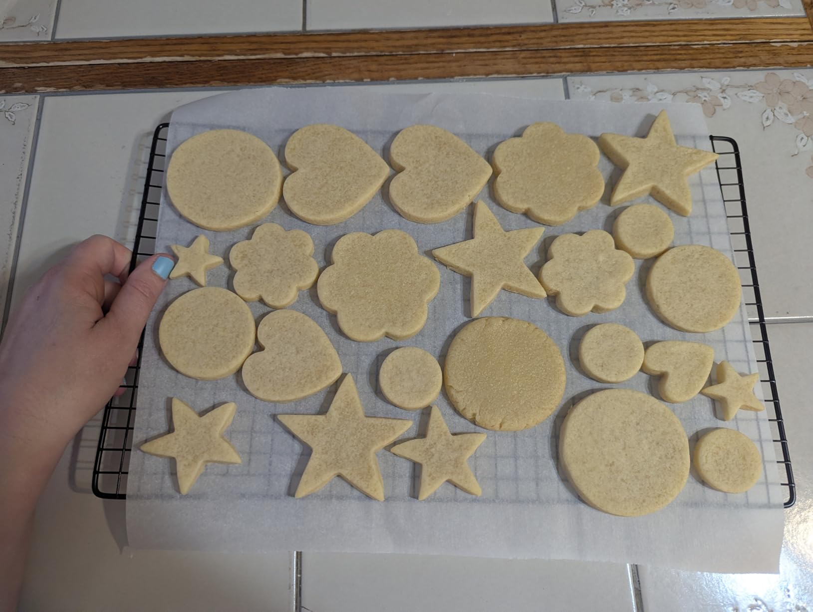 Stainless Steel Cookie Cutters Set 12Pcs - Heart, Flower, Round, Five Star Shapes - Small to Mini Size, Metal Biscuit Cutter Molds for Baking or Holiday Party Decorations - Customer Photo 1