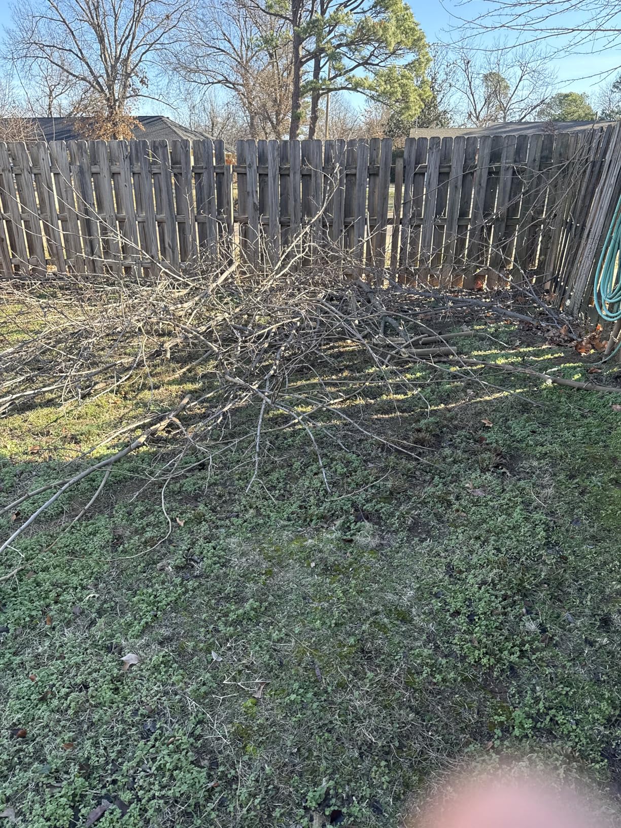 14.5FT Pole Saw with Adjustable Length for Tree Trimming, Lightweight Manual Pruning Saw with Mn Steel Blade, Long Extension Branch Cutter Pole Pruner for Yard, Garden, Patio & Forestry Use customer photo 1
