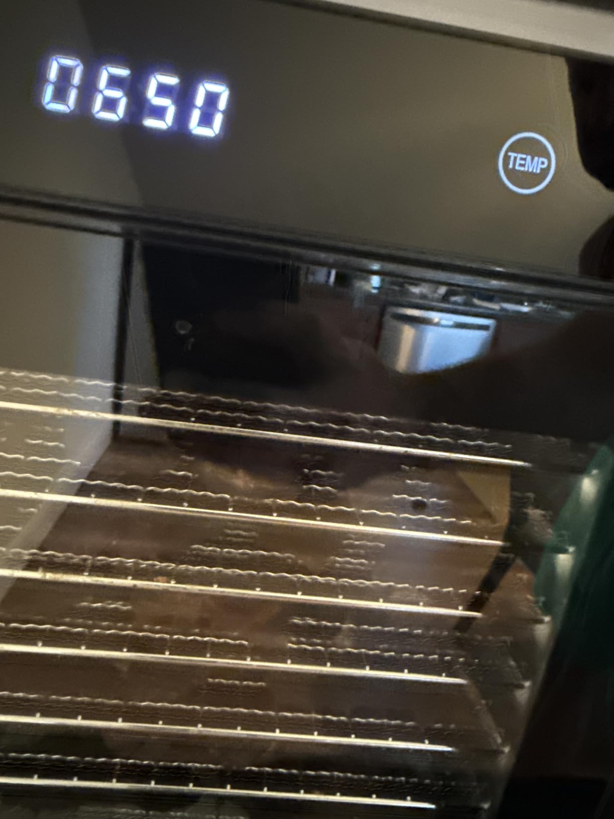 NESCO 8-Tray Stainless Steel Food Dehydrator – Digital Timer, Temp Control, Inner Light, Drip Tray – Jerky, Fruit, Herbs, Dog Treats, 650W, BPA-Free - Customer Photo 1