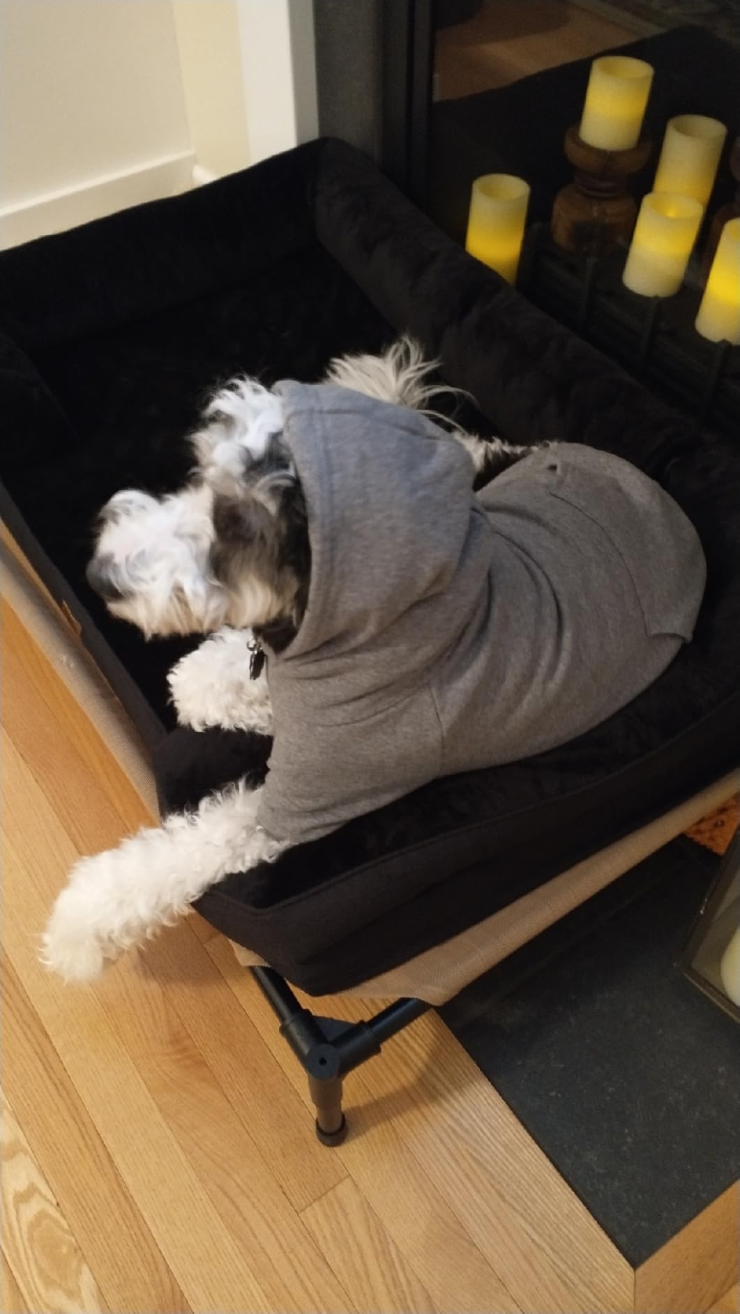 5XL Dog Sweaters for Large Dogs,Extra-Large Dog Hoodie,Cozy Fleece Interior Sweatshirt with Hood & Pocket,Leash Hole,Pet Clothes Sweater Hoodie for Large Dogs,Black&5XL Customer Review 5XL Dog Sweaters for Large Dogs,Extra-Large Dog Hoodie,Cozy Fleece Interior Sweatshirt with Hood & Pocket,Leash Hole,Pet Clothes Sweater Hoodie for Large Dogs,Black&5XL - Customer Photo 2