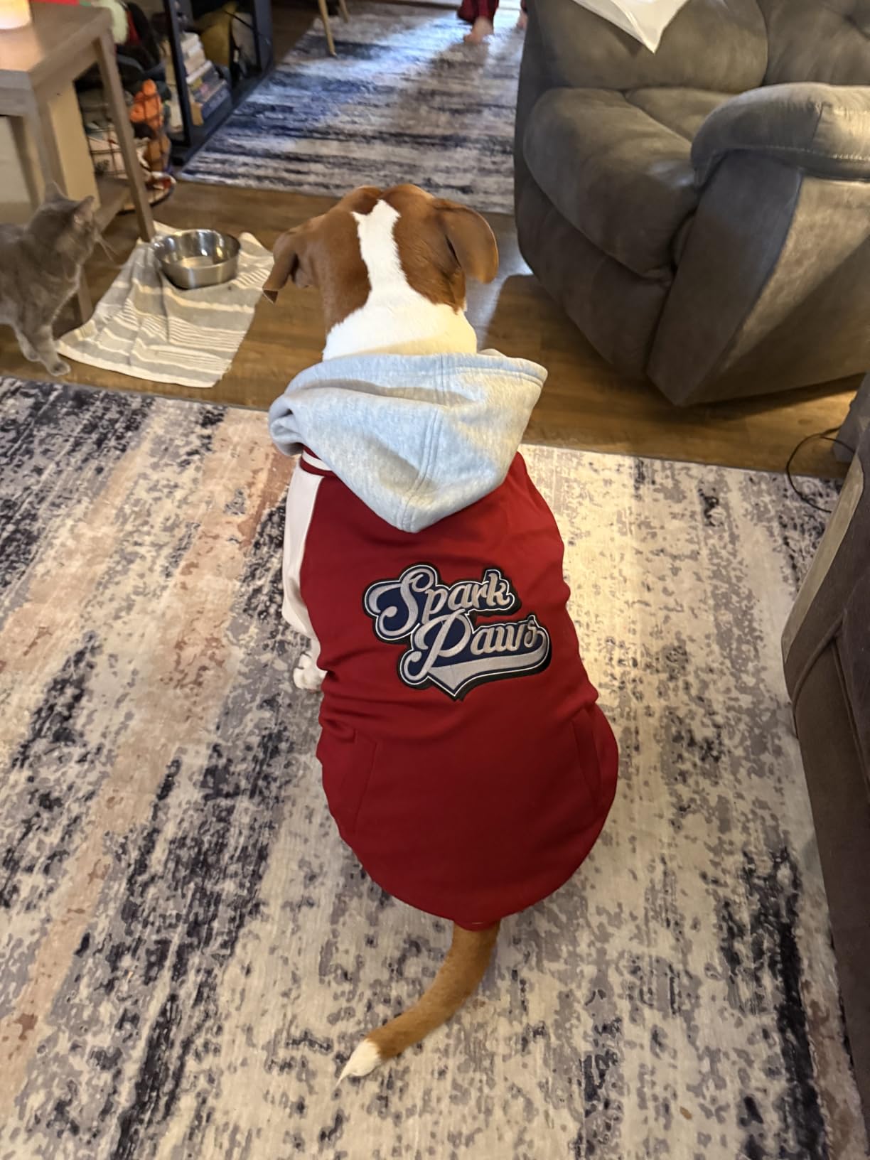Spark Paws Varsity Dog Hoodie – Premium Dog Sweater for Small, Medium, and Large Dogs | Warm Clothes for Pets, Winter Jacket Alternative - Red - 2XL Customer Review Spark Paws Varsity Dog Hoodie – Premium Dog Sweater for Small, Medium, and Large Dogs | Warm Clothes for Pets, Winter Jacket Alternative - Red - 2XL - Customer Photo 2