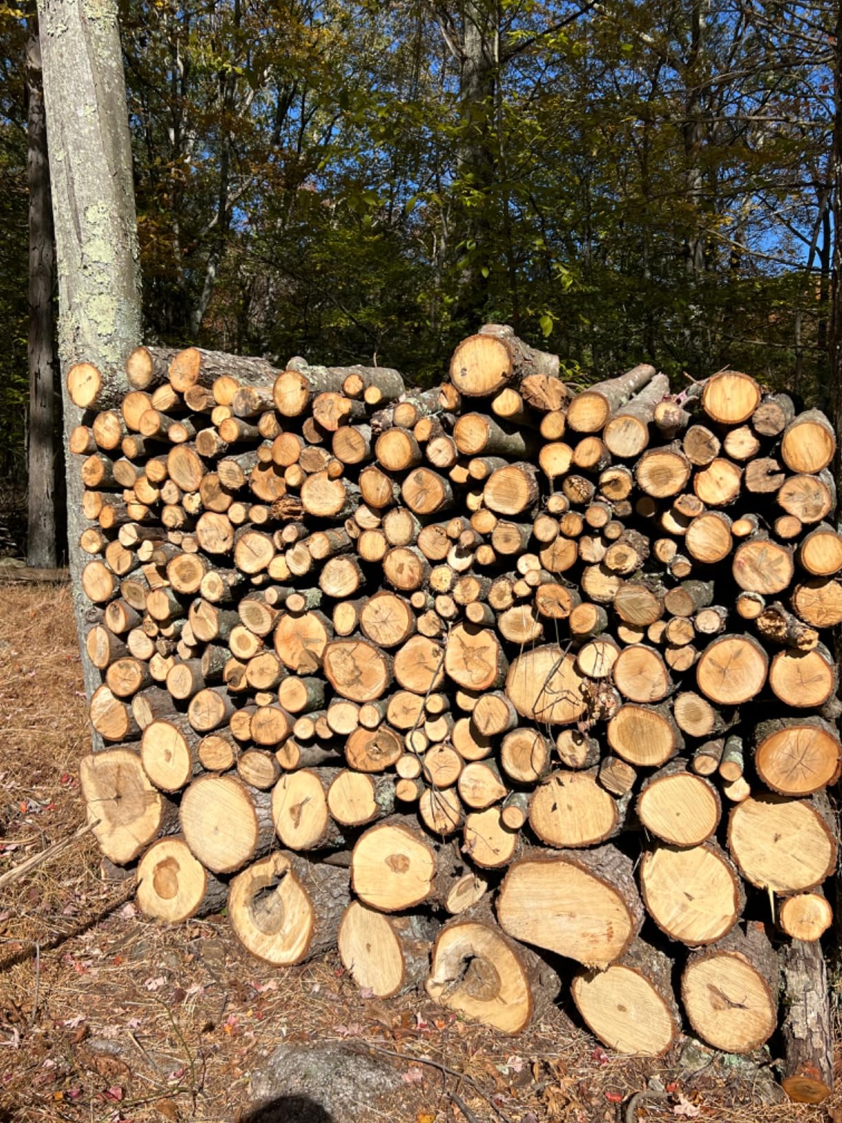 PowerSmart 7-Ton Electric Log Splitter & 15:1 Wood Chipper Combo - Home Wood & Yard Waste Kit customer photo 1