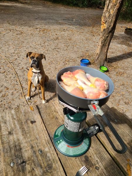 Coleman BottleTop Propane Stove with Adjustable Burner, Portable Camping/Backpacking Cooker customer photo 1