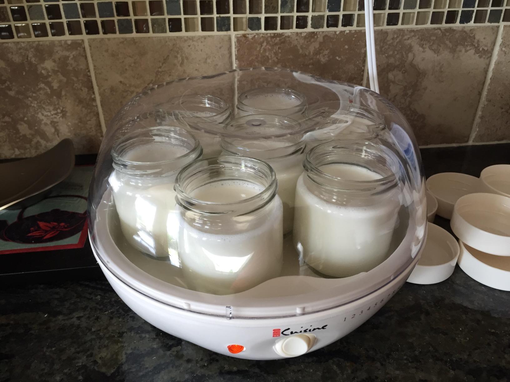 Euro Cuisine YM80 Electric Yogurt Maker Machine with Glass Jars, White customer photo 1