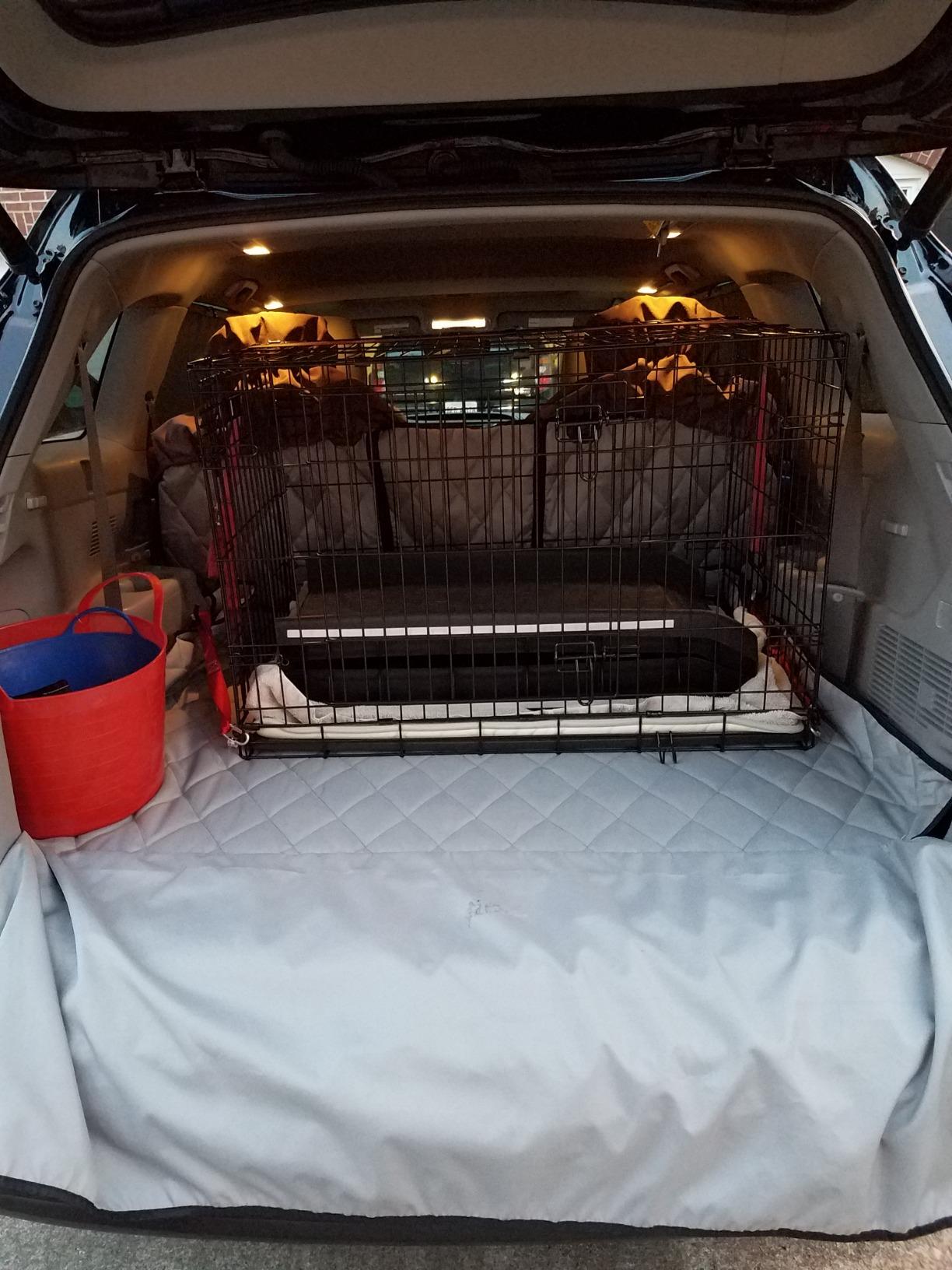 PetSafe Happy Ride Folding Pet Ramp, Portable Lightweight Dog Ramp for Cars, Trucks & SUVs customer photo 2