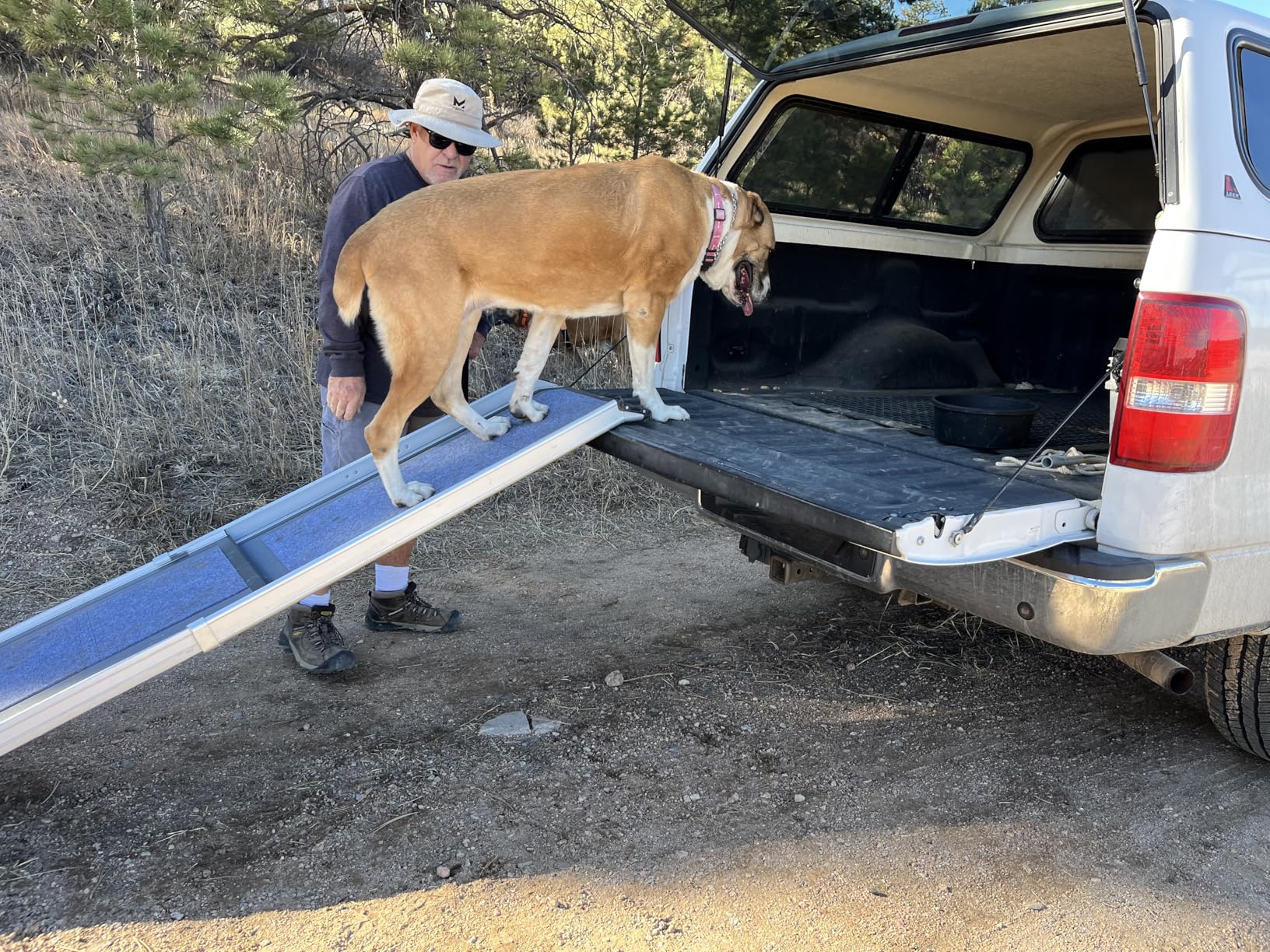 PetSafe Happy Ride Compact Telescoping Dog Ramp - Portable Pet Ramp for Cars, Trucks & SUVs with Adjustable Sizing - Non-Slip Design - Lightweight Pet Mobility Assistance - Extra Long customer photo 1