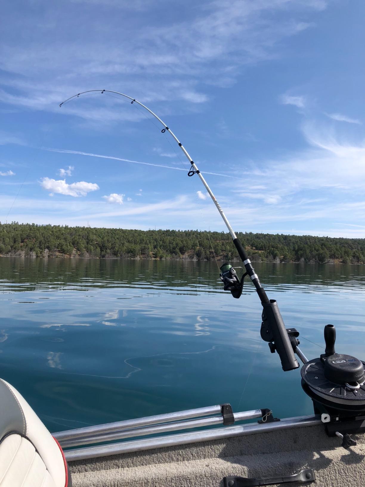 Scotty #1060 Depthking Manual Downrigger, Display Packed w/ Rod Holder, BLACK, Medium customer photo 3