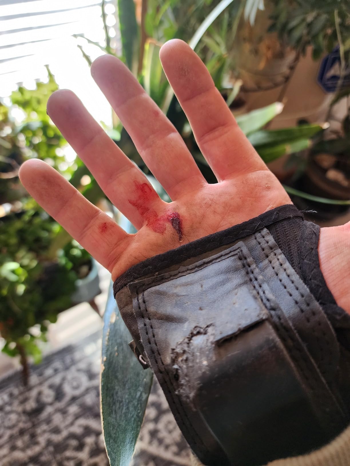 Triple Eight WRISTSAVER Wrist Guards, Black - Ideal for Skateboarding, in-line Skating, and Roller Skating customer photo 1