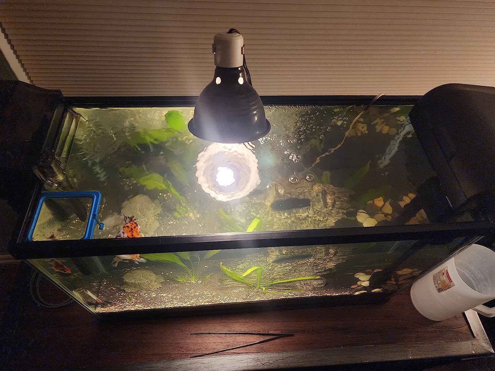 Fluval C3 Power Filter, Fish Tank Filter for Aquariums up to 50 Gal. customer photo 2