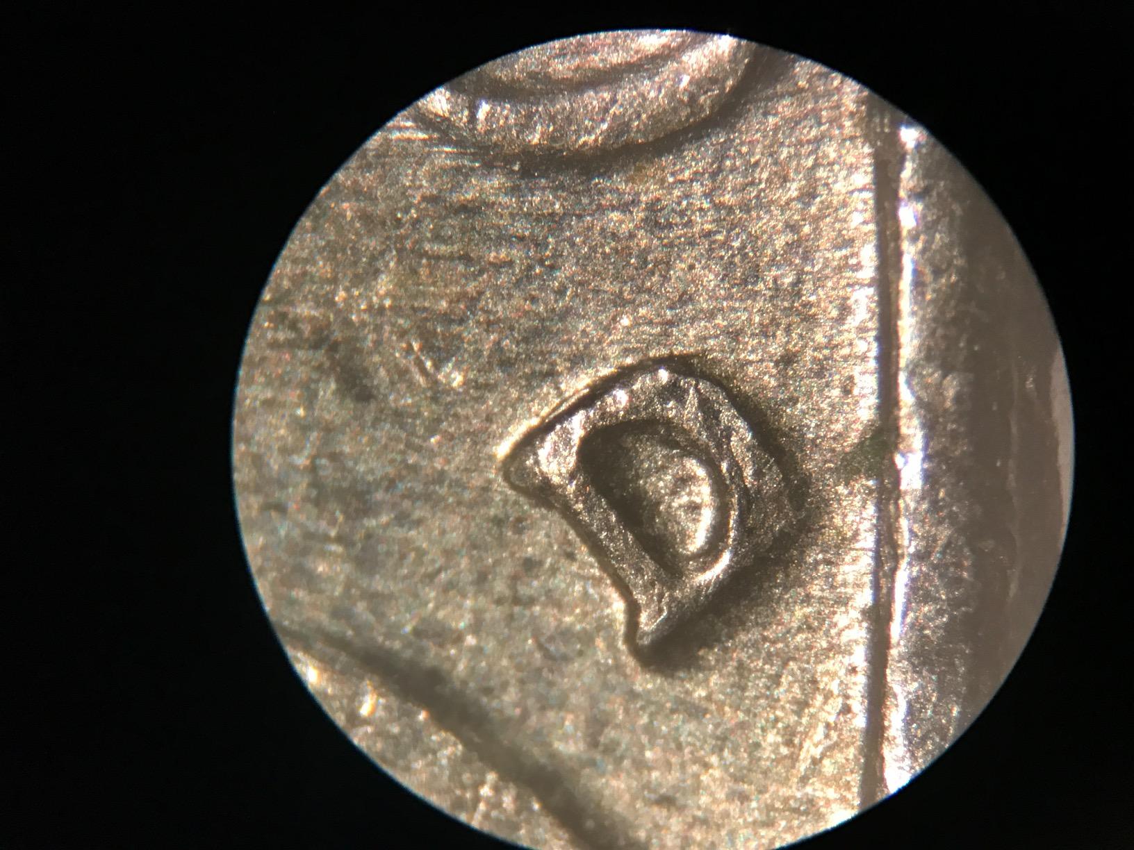 AmScope SE306R-P20 Forward-Mounted Binocular Stereo Microscope, WF20x Eyepieces, 40X and 80X Magnification, 2X and 4X Objectives, Upper and Lower Halogen Lighting, Reversible Black/White Stage Plate, Pillar Stand, 120V customer photo 2