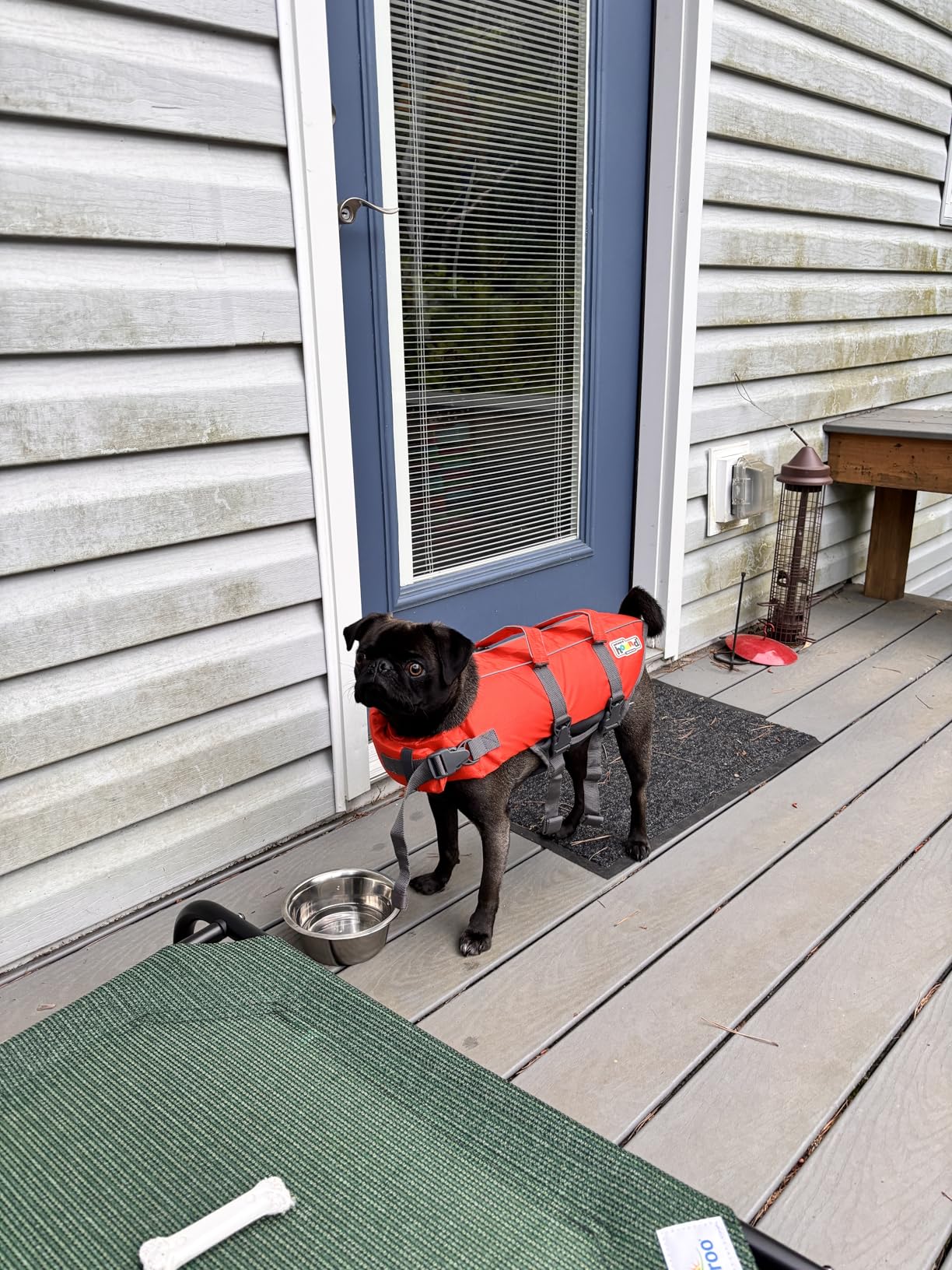 Outward Hound Granby Splash Orange Dog Life Jacket customer photo 1