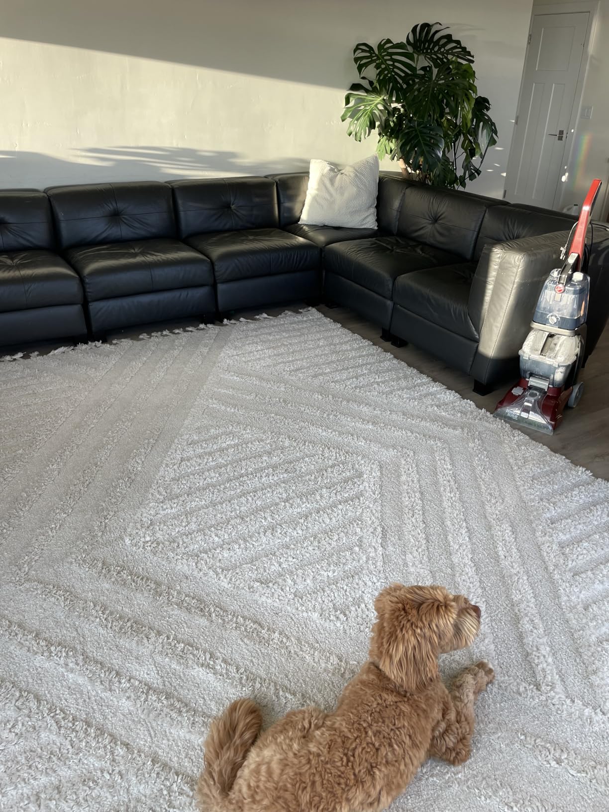 Hoover PowerScrub Deluxe Carpet Cleaner Machine, Deep Cleaning Carpet Shampooer Machine, SpinScrub Brushes, HeatForce Drying, Pet & Upholstery Tools, Pair with a Hoover Carpet Cleaner Solution customer photo 1