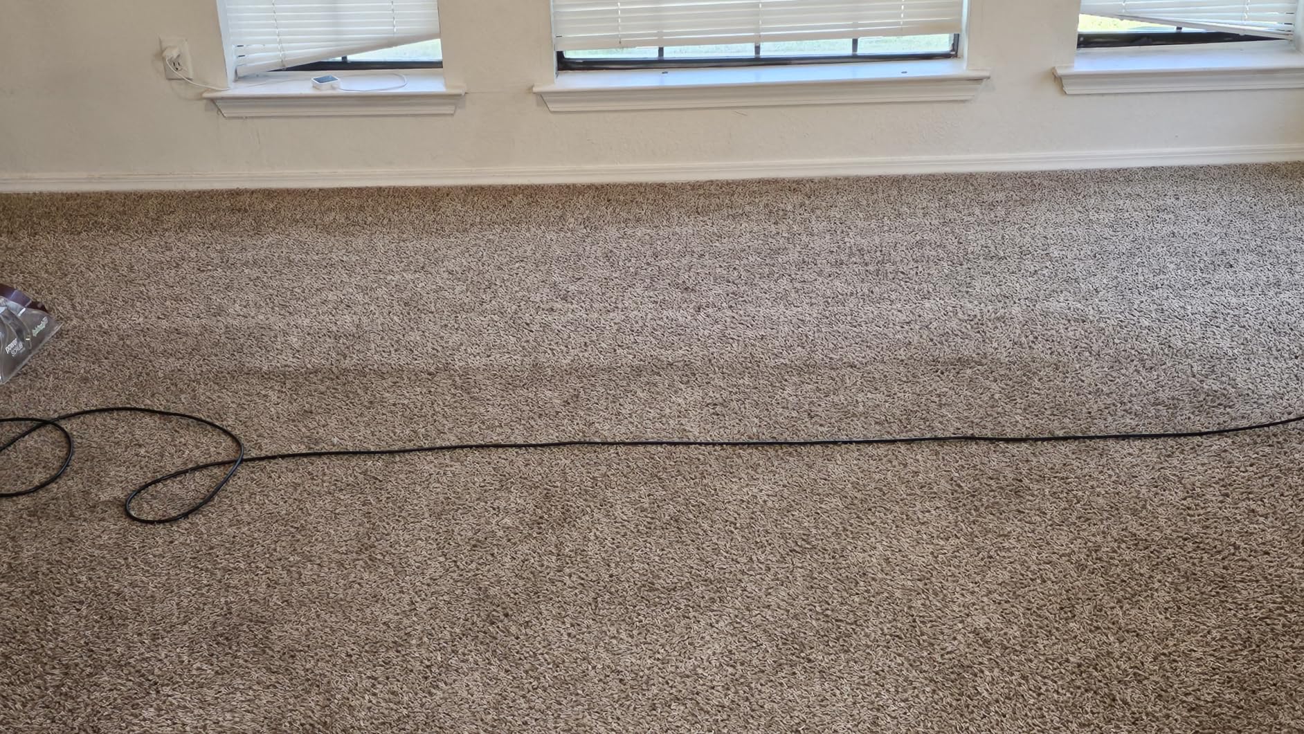 Hoover PowerScrub Deluxe Carpet Cleaner Machine, Deep Cleaning Carpet Shampooer Machine, SpinScrub Brushes, HeatForce Drying, Pet & Upholstery Tools, Pair with a Hoover Carpet Cleaner Solution customer photo 2