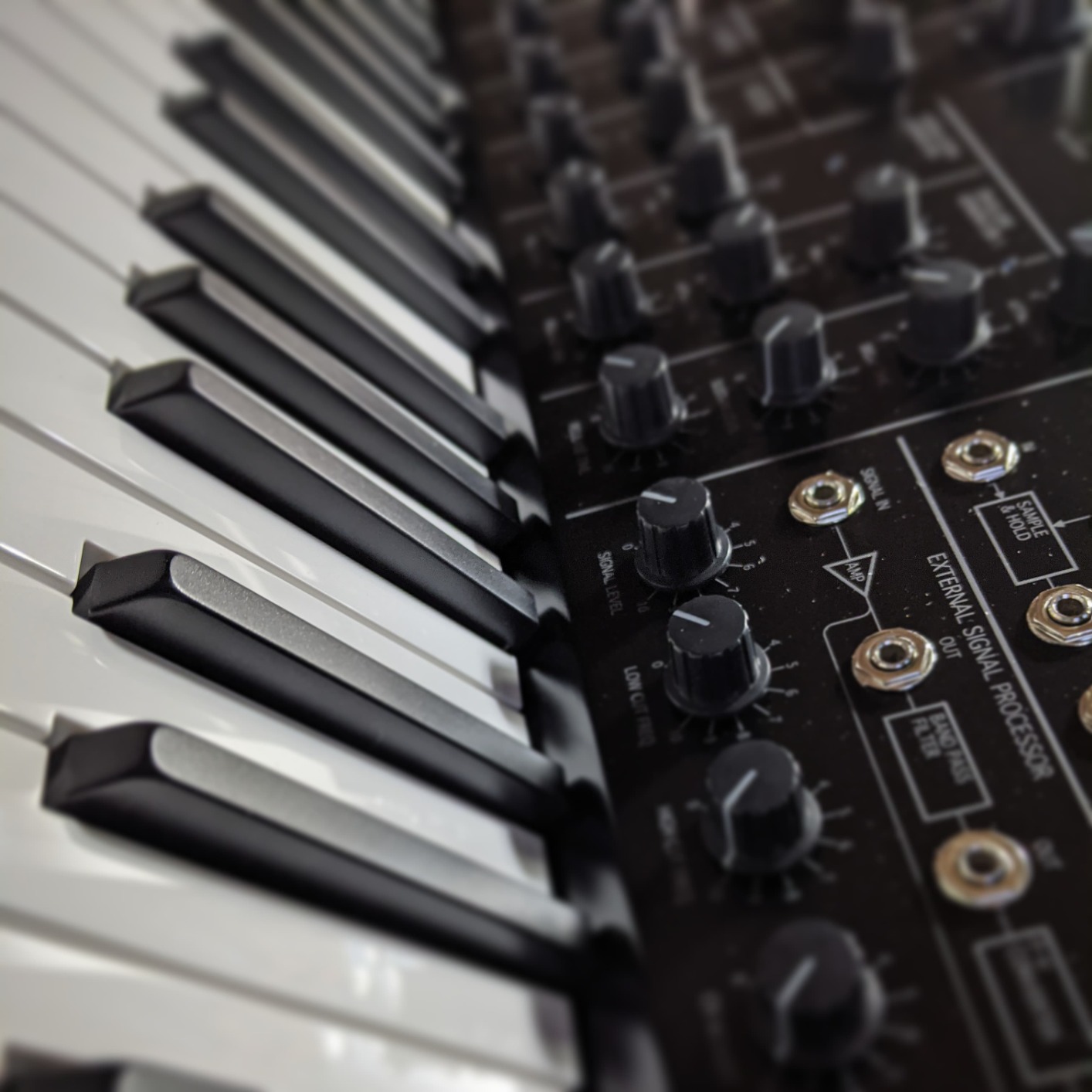 Korg MS-20 Mini Semi-Modular Analog Synthesizer (MS20MINI) customer photo 1