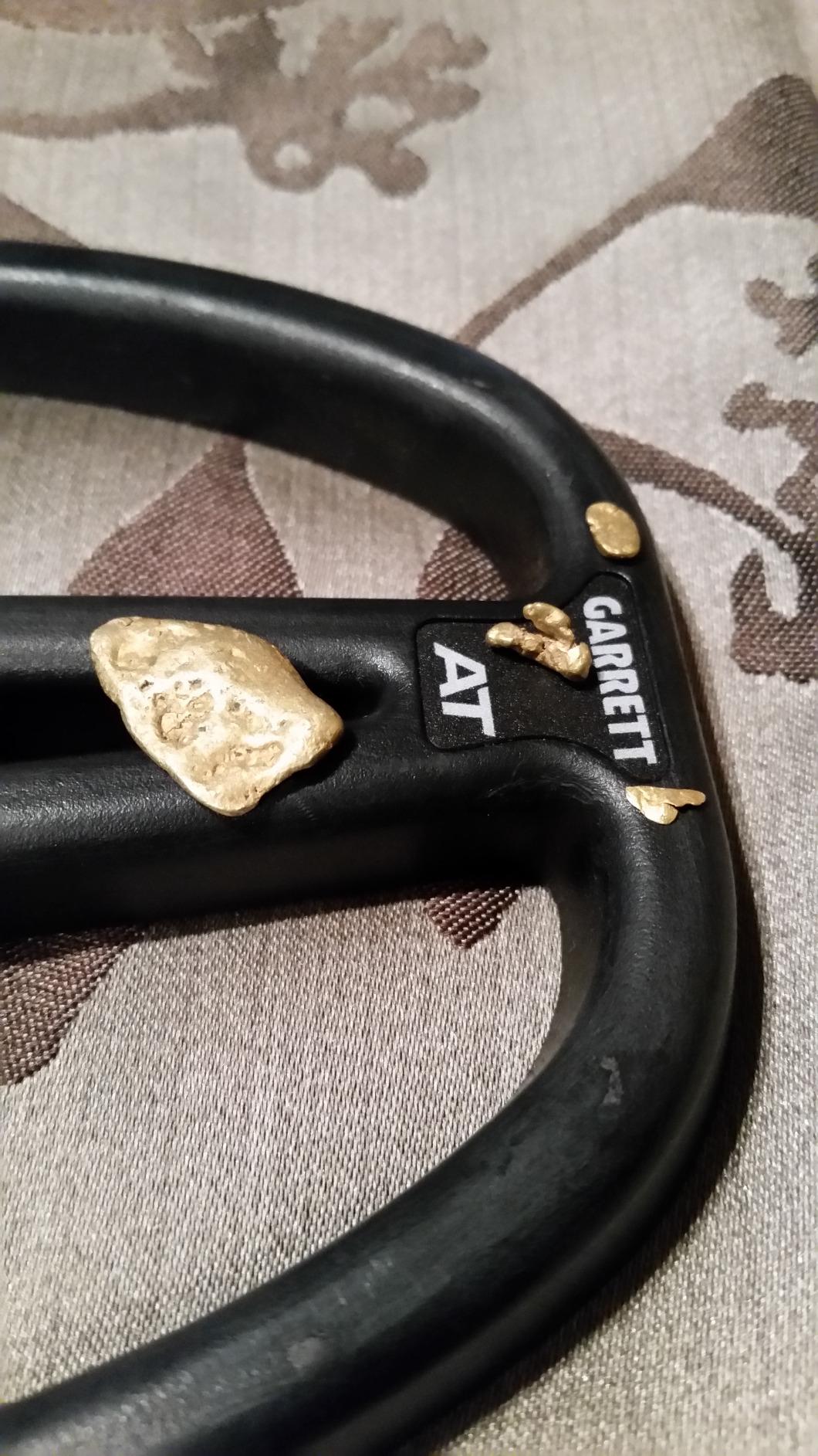 Garrett AT Gold - Waterproof Gold Metal Detector with Pinpointer and Headphones - All-Terrain with Iron Audio customer photo 1