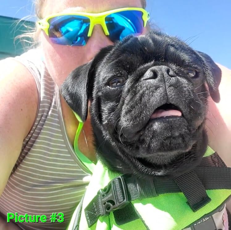 VIVAGLORY Rip Stop Dog Life Vest, Swimming Vest with Handle, Buoyancy for Doggy Puppy, Dog Life Jacket for Swimming & Boating customer photo 1