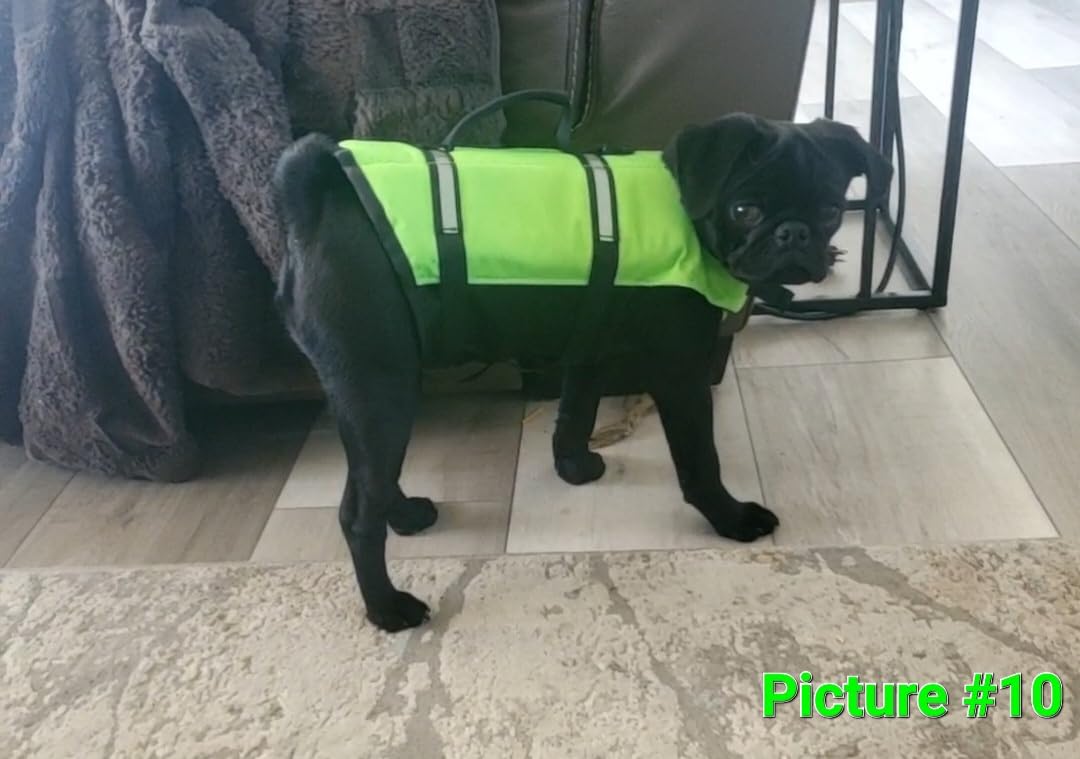 VIVAGLORY Rip Stop Dog Life Vest, Swimming Vest with Handle, Buoyancy for Doggy Puppy, Dog Life Jacket for Swimming & Boating customer photo 2