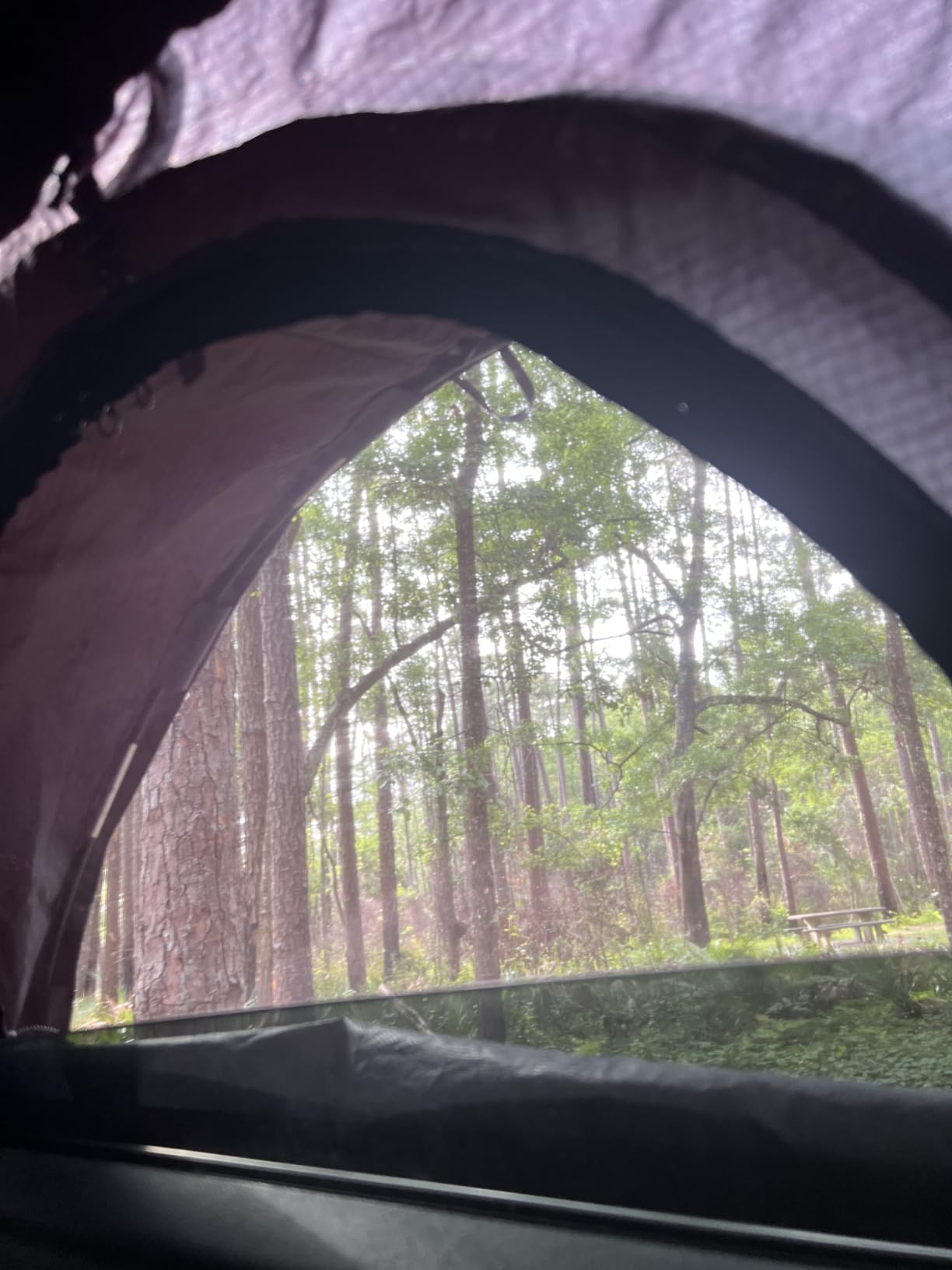 ROADIE- The OVERNIGHTER SUV Window Tent with Bug Screen and Retractable Awning - Great for Camping in an SUV. (Patented) customer photo 1