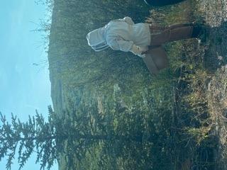 Bee Jacket with Veil - Natural Canvas Bee Suit Jacket with Elastic Waist & Cuffs, YKK Brass Zippers, 3 Utility Pockets. Removable Hood Interchangeable with Forest Beekeeping Suit customer photo 1