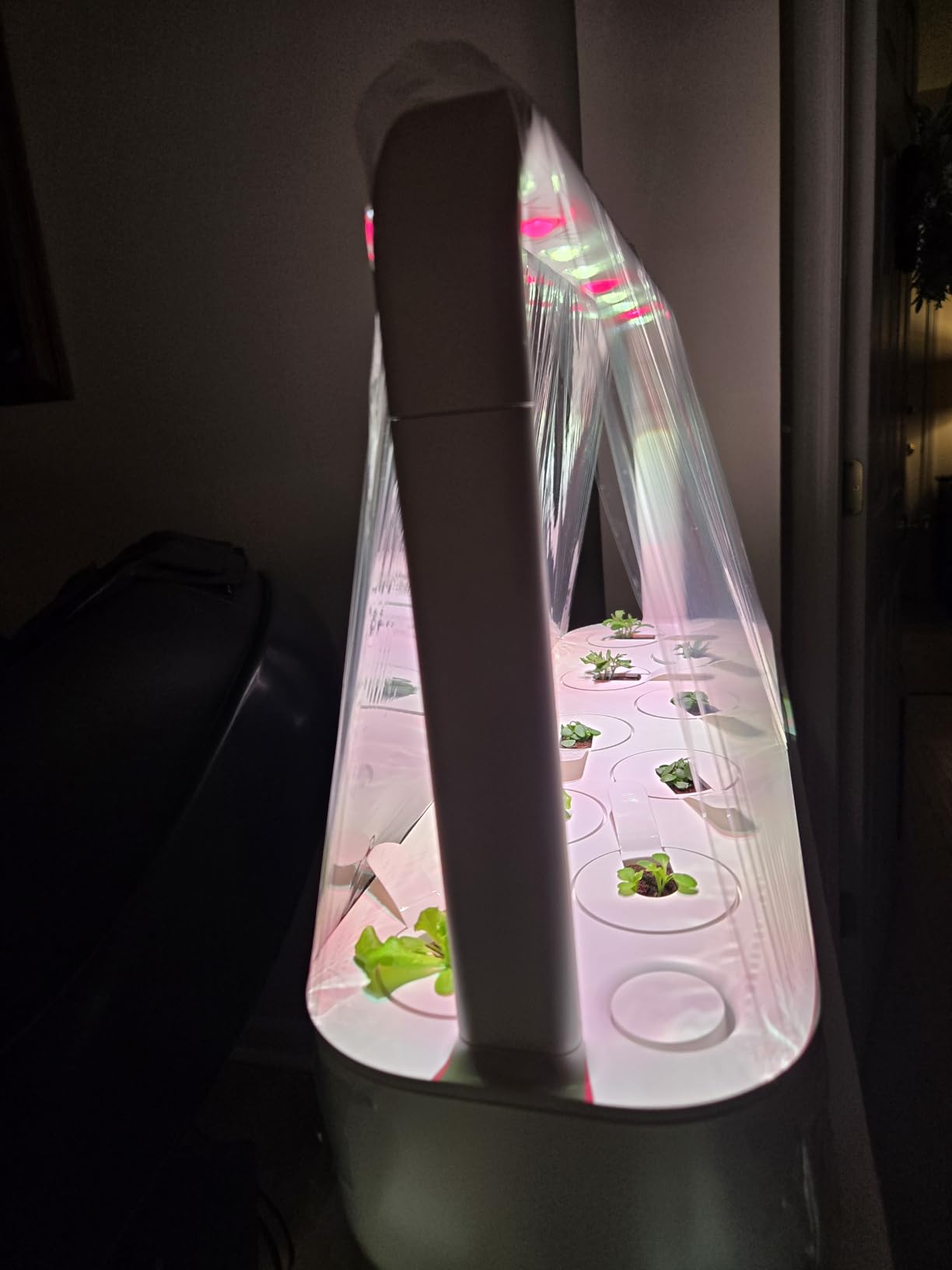 Click & Grow Indoor Herb Garden Kit with Grow Light | Easier Than Hydroponics Growing System | Smart Garden for Home Kitchen Windowsill | Vegetable & Herb Garden Starter Kit with 9 Plant pods, White customer photo 2