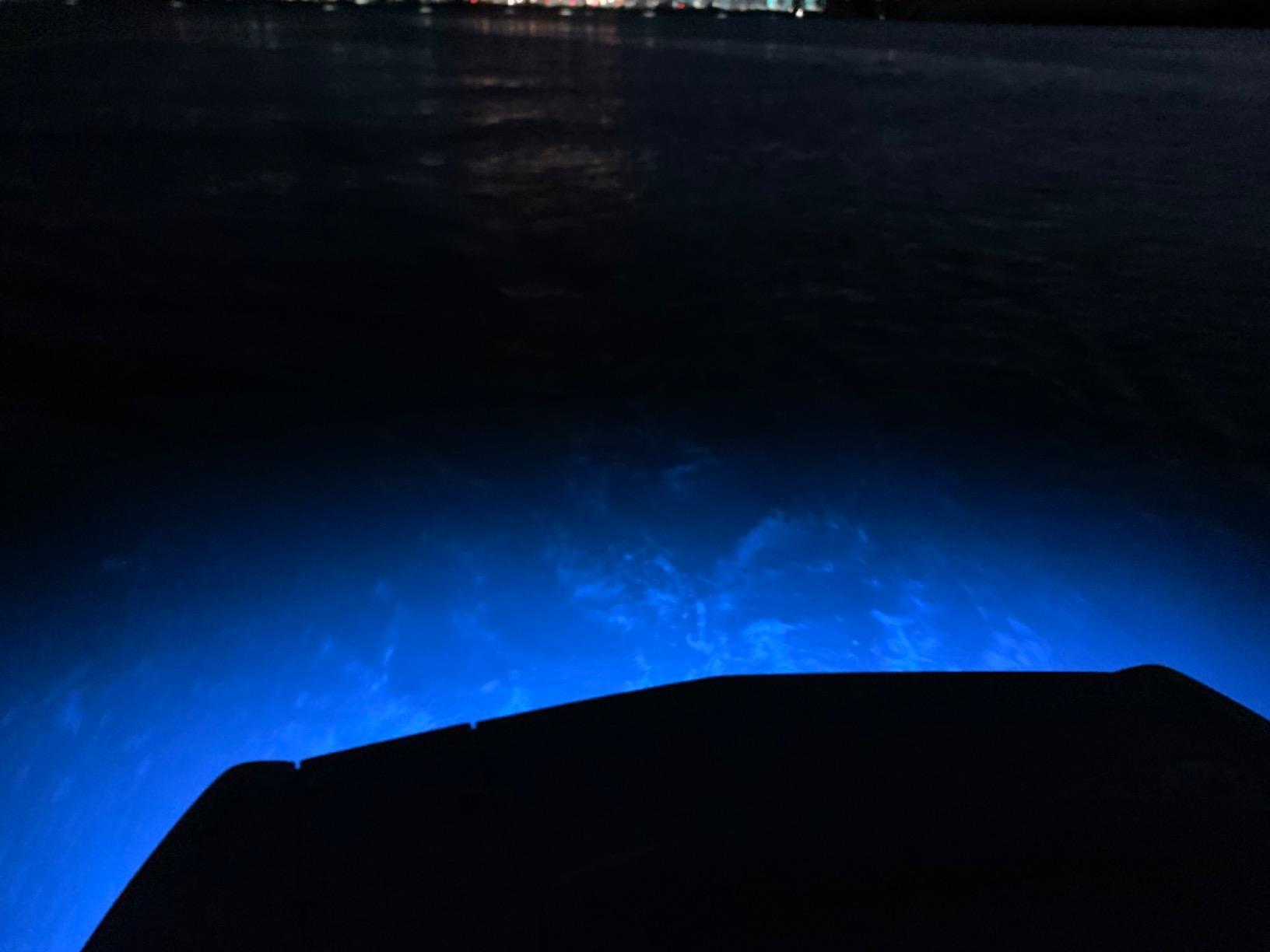 Lumitec SeaBlazeX2 Underwater LED Light - 6000 Lumens, Dual Color White/Blue & RGBW Spectrum - Solid Bronze - PLI Enabled, Easy Surface Mount Design - 3-Year Warranty - Boat Lighting, White/Blue customer photo 1