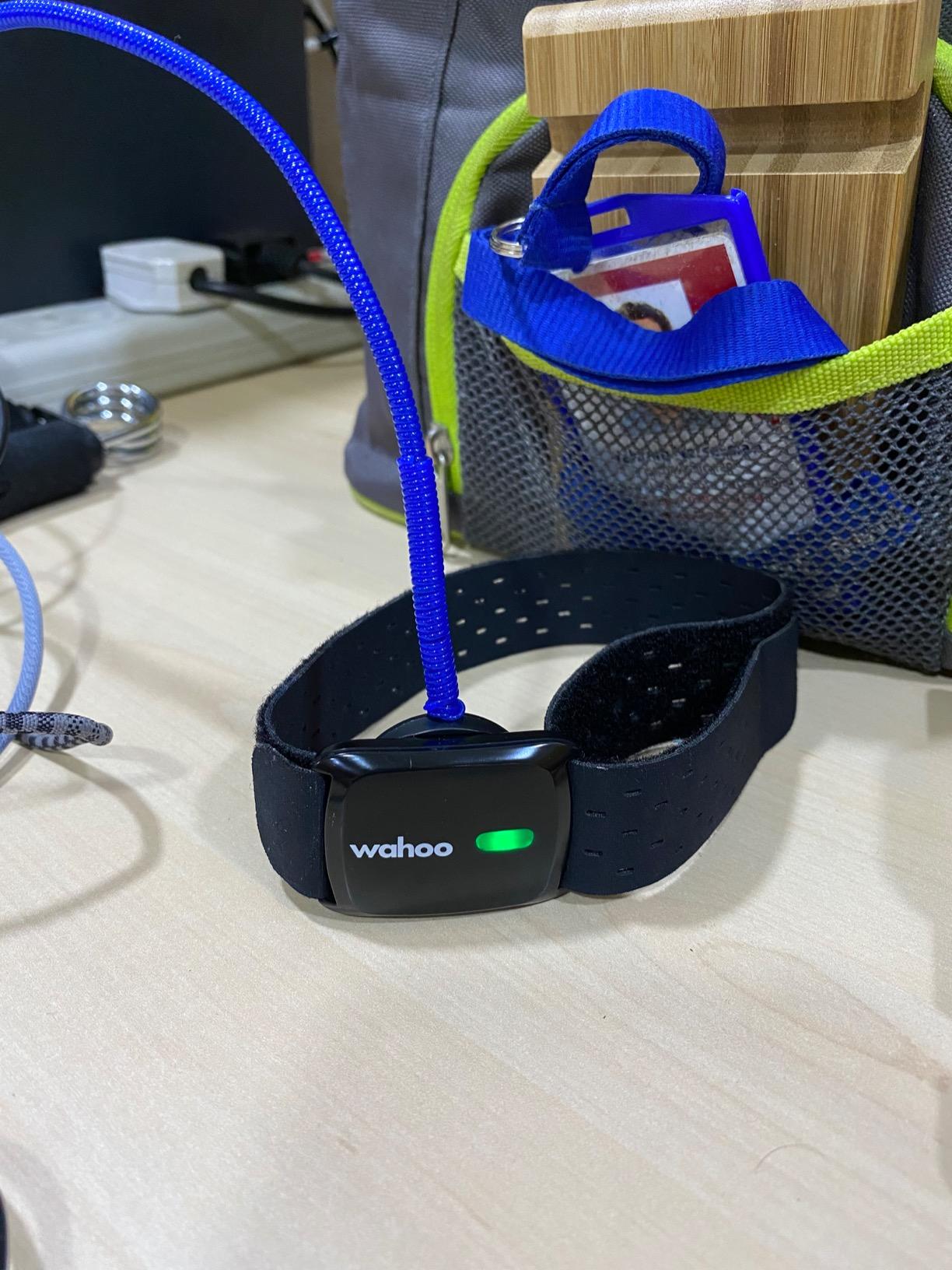 Wahoo TICKR FIT Heart Rate Armband - Bluetooth, ANT+ Optical Sensor customer photo 1