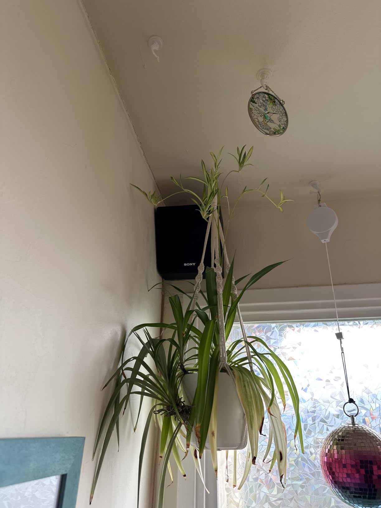 Sony SSCSE Dolby Atmos Enabled Speakers, Black (Pair), 4 Inch customer photo 2