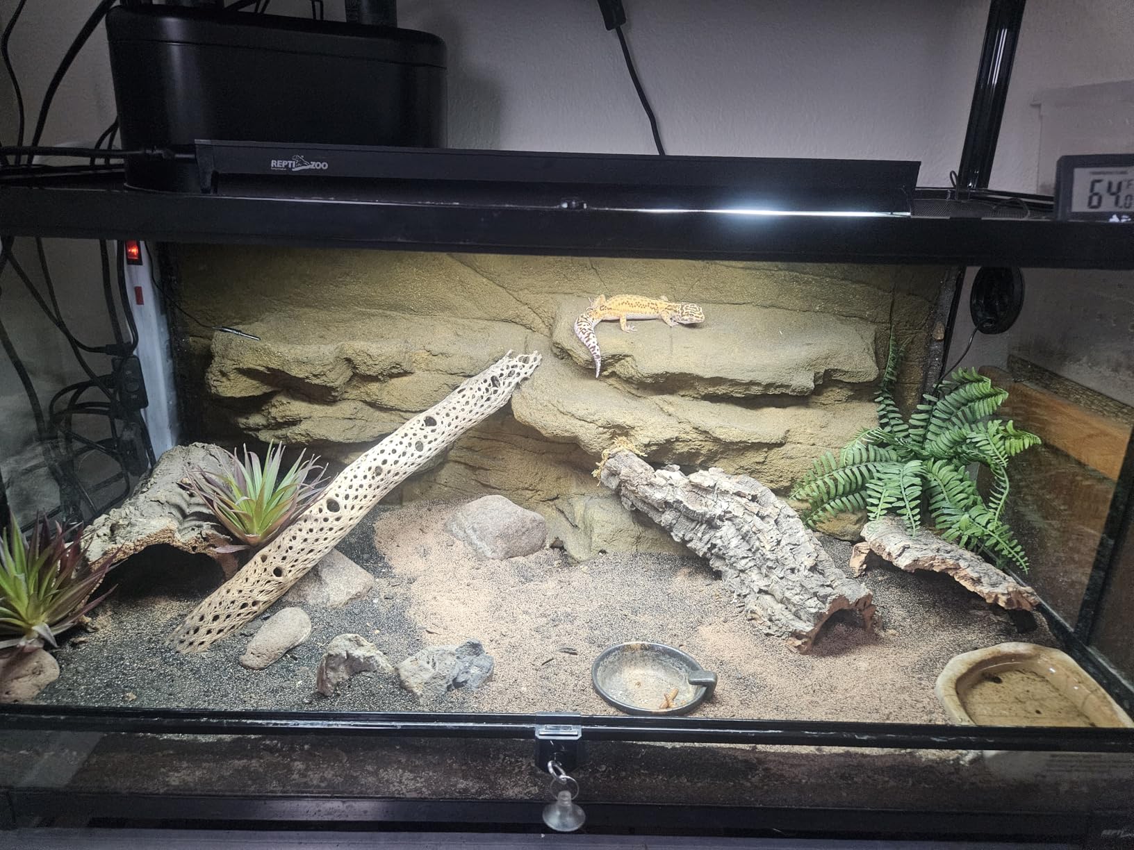 REPTI ZOO 50 Gallon Reptile Glass Terrarium Tank Double Hinge Door with Screen Ventilation Large Reptile Terrarium 36