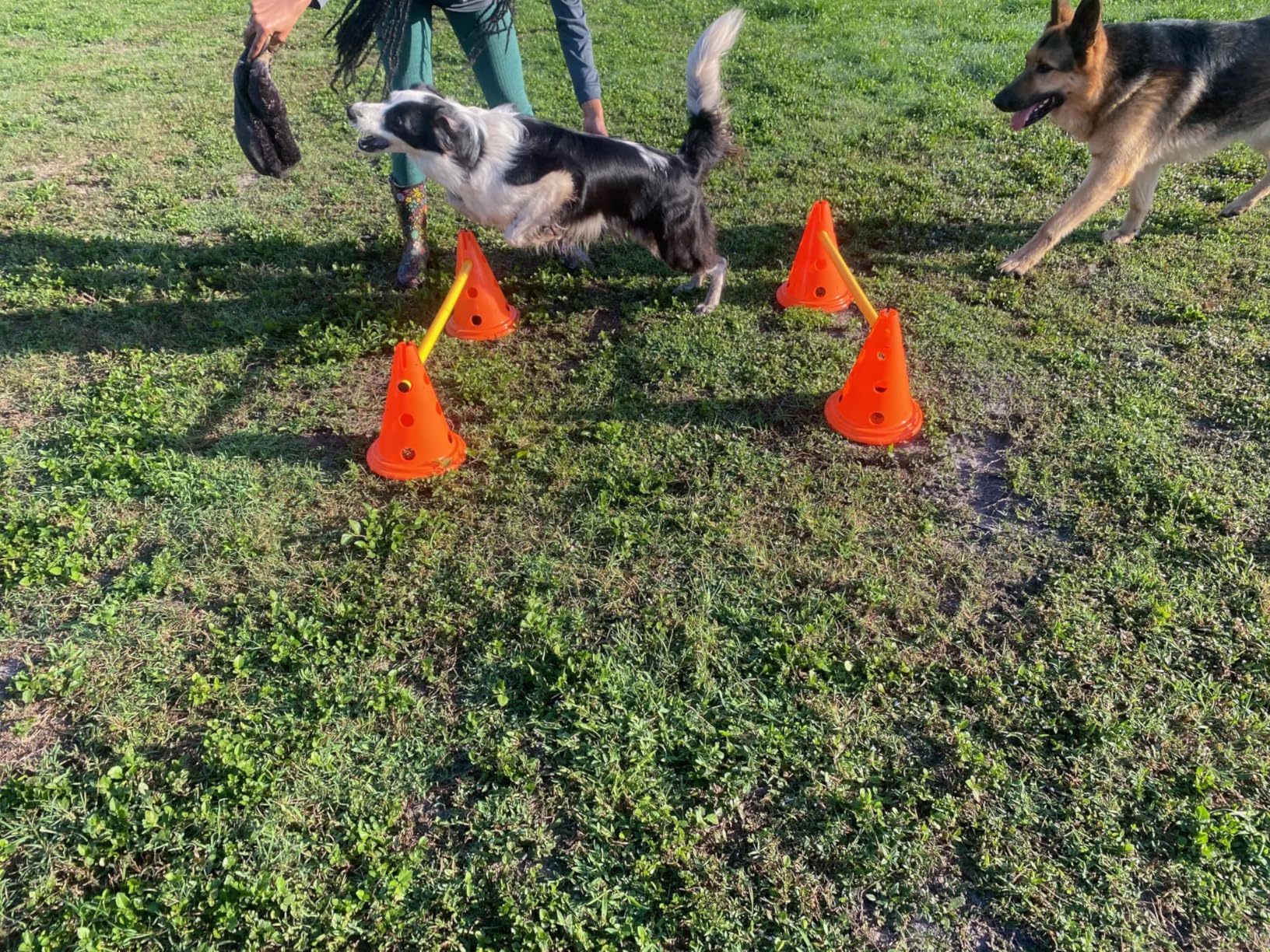 TRIXIE Dog Agility Hurdle Cone Set - Dog Agility Set with Height Adjustable Crossbar for Beginners & Advanced, Dog Agility Equipment for Dog Obstacle Courses - 6 x Cones, 3 x Agility Rods customer photo 1