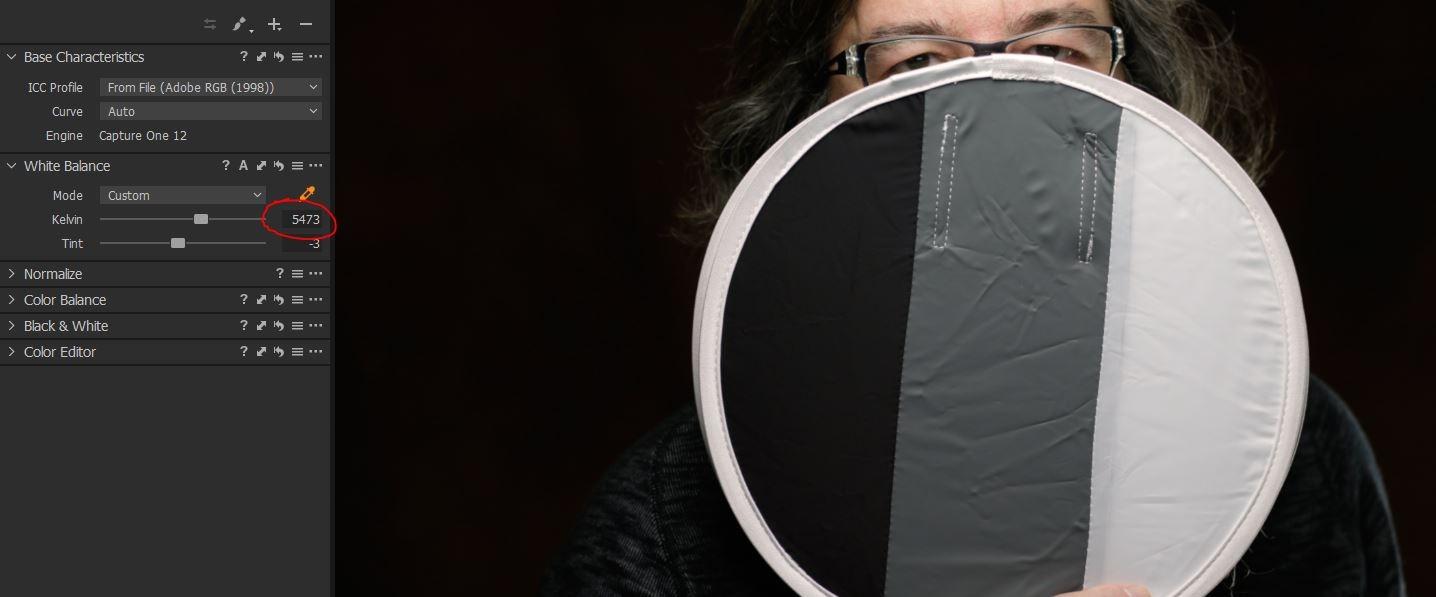 RALENO Softbox Lighting Kit, 20X28-Inch Softbox Photography Lighting with LED Bulbs(50W | 5500K | TLCI≥97), Streaming Lighting for Video Rcording Photoes Portraits YouTube | Model: PS40 customer photo 2