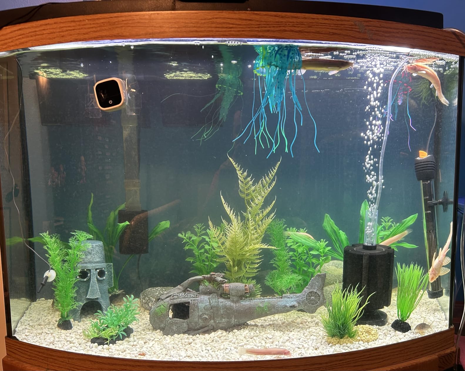 Orlushy Submersible Aquarium Heater, Adjustable Fish Tank Heater with Free Thermometer Suitable for Marine Saltwater and Freshwater customer photo 1