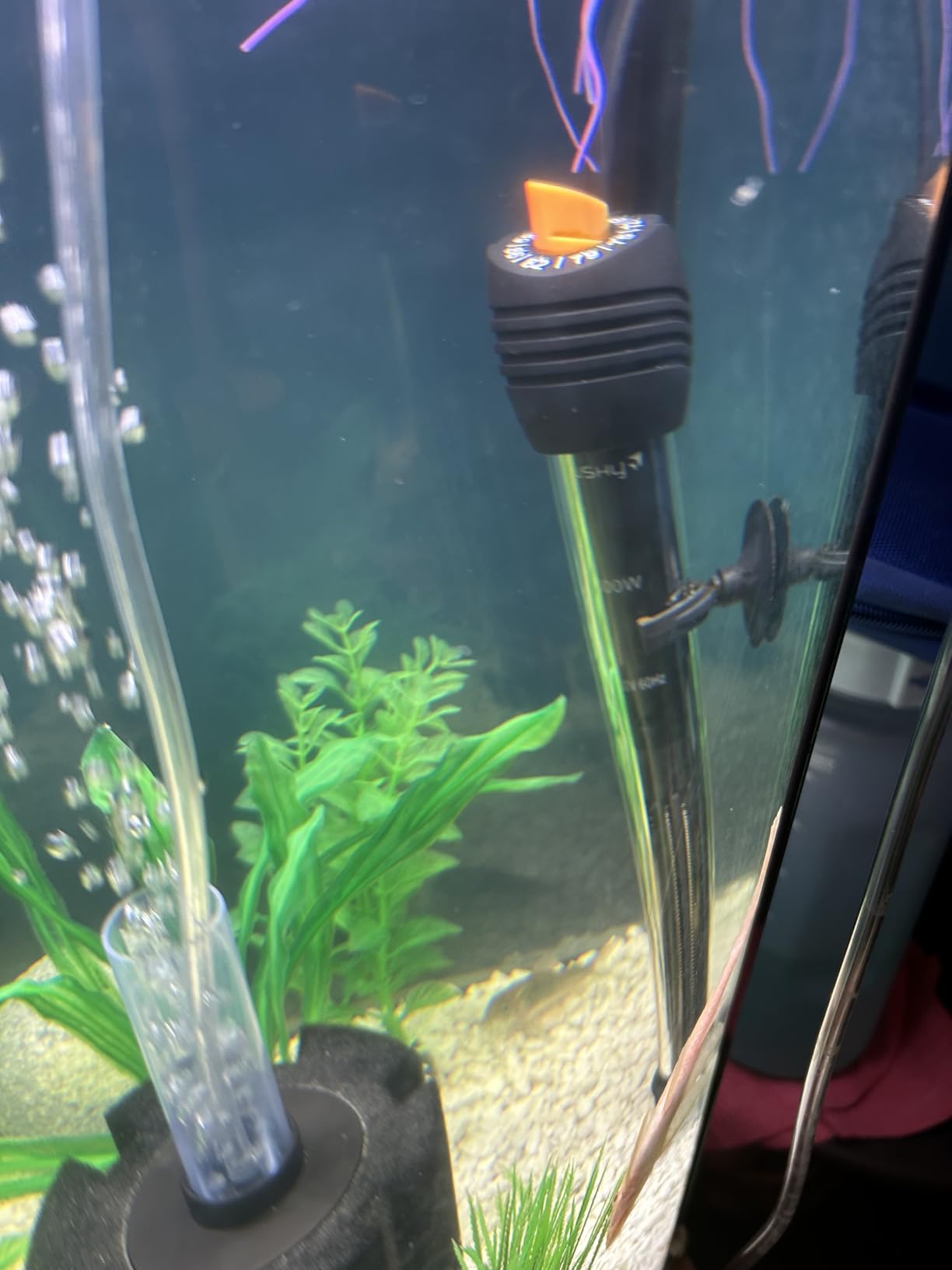 Orlushy Submersible Aquarium Heater, Adjustable Fish Tank Heater with Free Thermometer Suitable for Marine Saltwater and Freshwater customer photo 2
