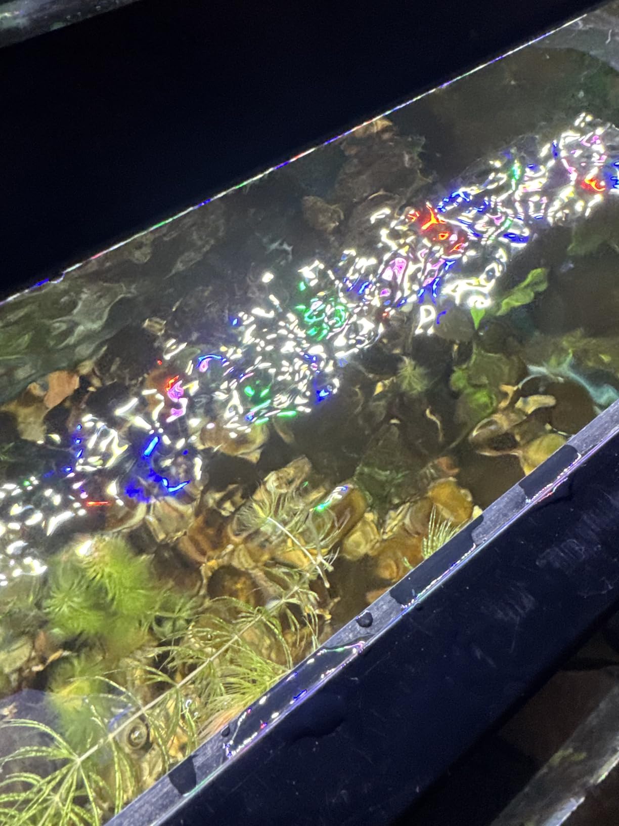 Marine Color Aquarium Surface Protein Skimmer 5W JY03 Aquarium Oil Film Processor JY-03 Oil Removal Filter Fish Tank Filter customer photo 1