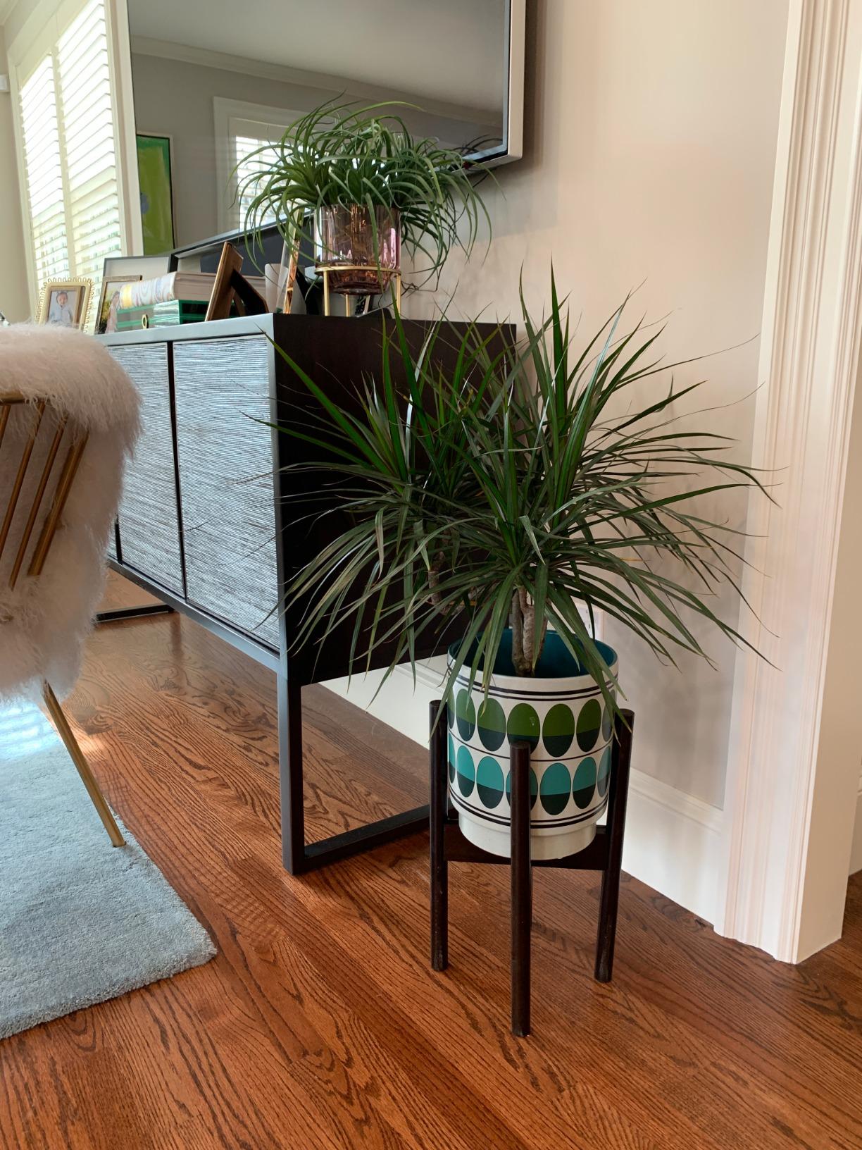 Fox & Fern Adjustable Plant Stand Indoor - 8 to 12 Inch Premium Mid Century Bamboo Plant Stand with Adjustable Width; Plug In Design; Easy to Assemble; Two Heights - For 8, 9, 10, 11 & 12 Inch Pots customer photo 2