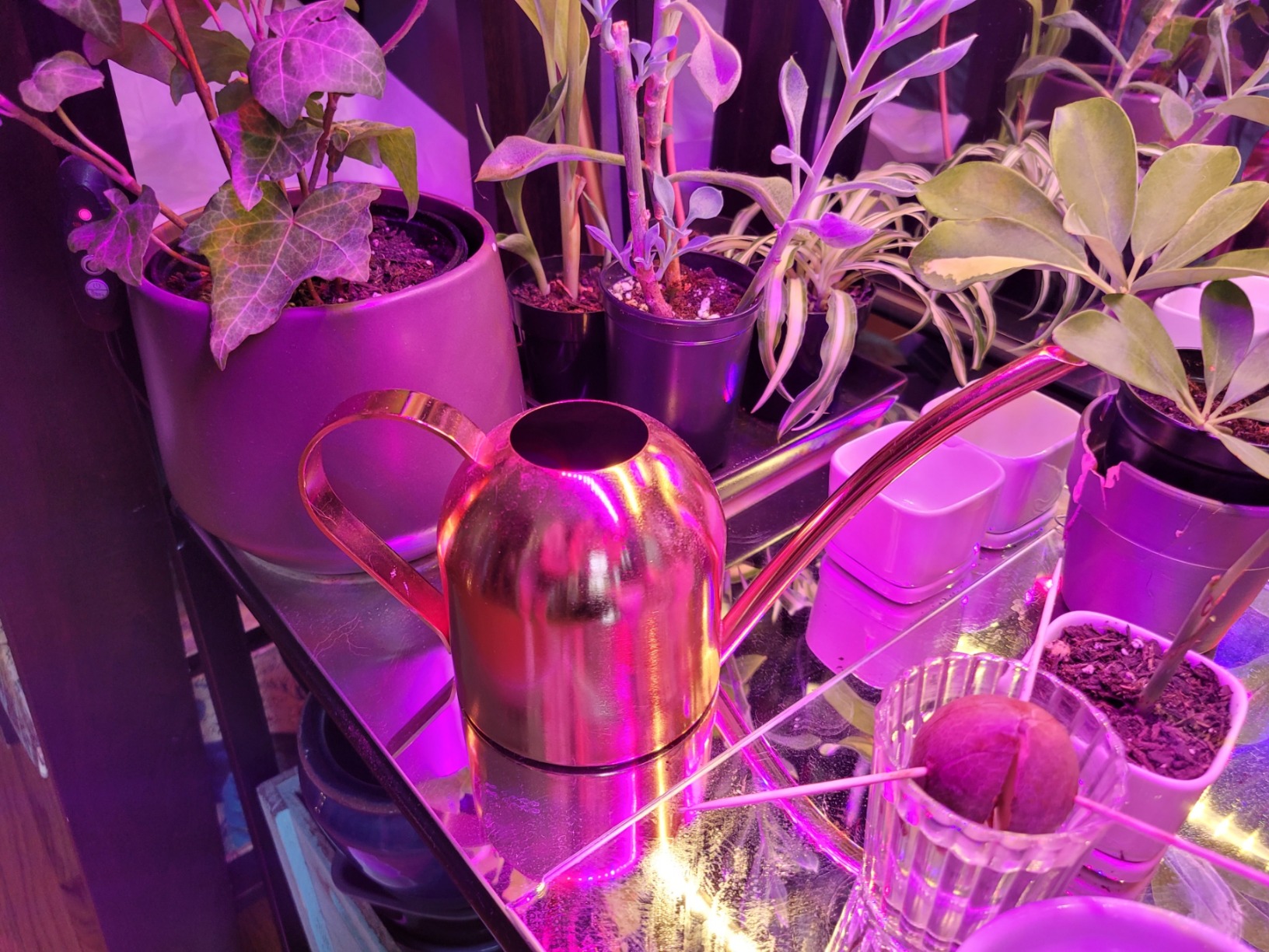IMEEA Small Watering Can for Indoor Plants Stainless Steel Bonsai Watering can Mini Metal (15oz/450ml) customer photo 1