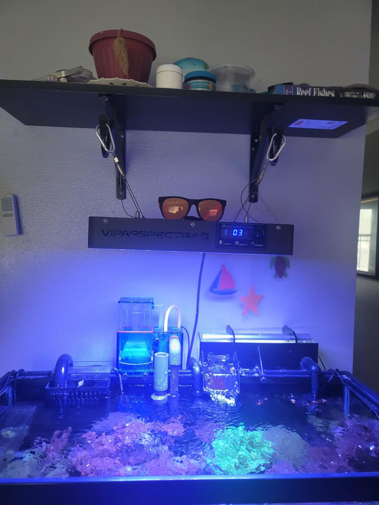 VIPARSPECTRA 165W LED Aquarium Light Dimmable Full Spectrum LED Reef Lights for Coral Saltwater Fish Tank, Remote/Timer Control, Programmable Auto On/Off, Blue/White Dual Channel Brightness 0-100% customer photo 1