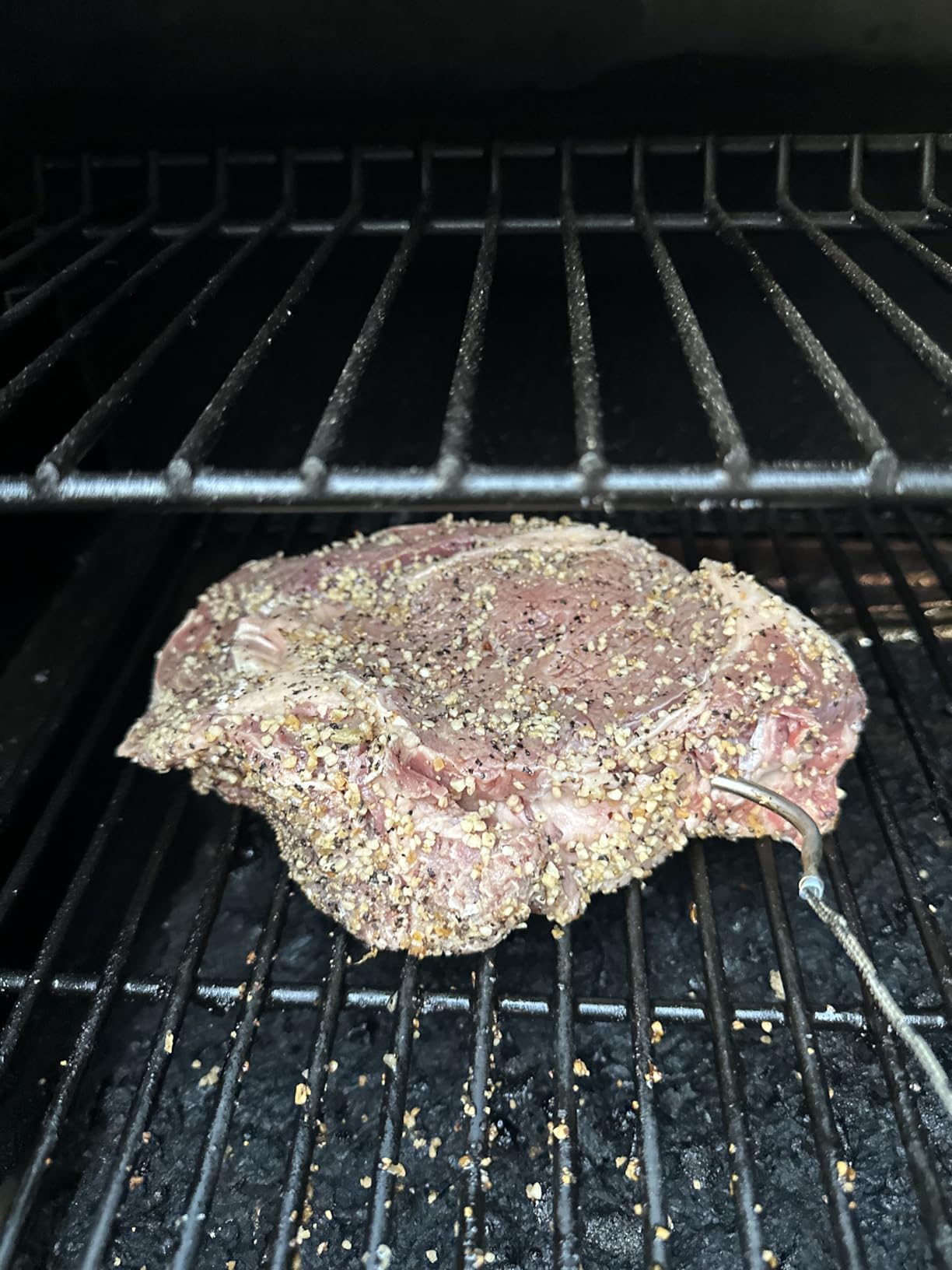 Traeger Pro 575 Wood Pellet Grill & Smoker with Wifi, App-Enabled, Bronze customer photo 1