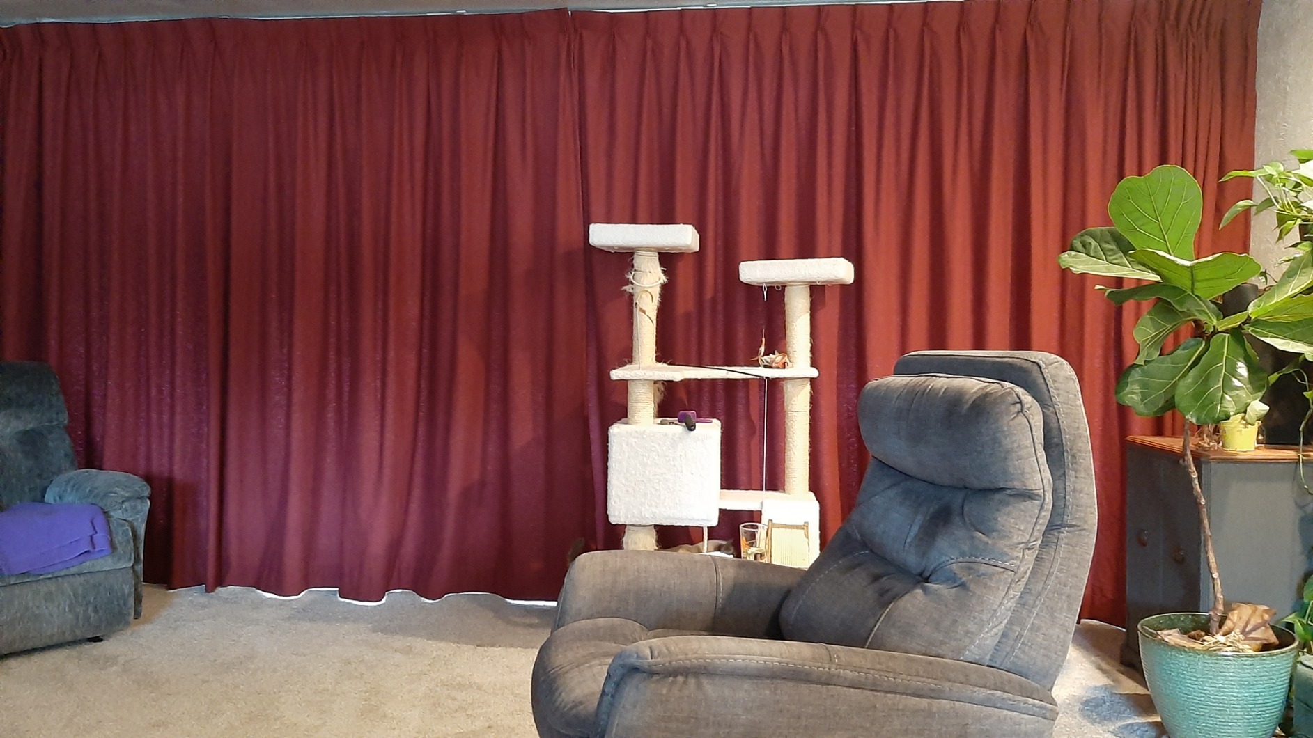 Quoya QL500 Smart Curtains System, Electric Curtain Track with Automated Rail[Motorized and Adjustable Tracks/Rod/Pole [Motor compatible with Alexa, Google, Siri](up to 196 inches / 5 metres) customer photo 2
